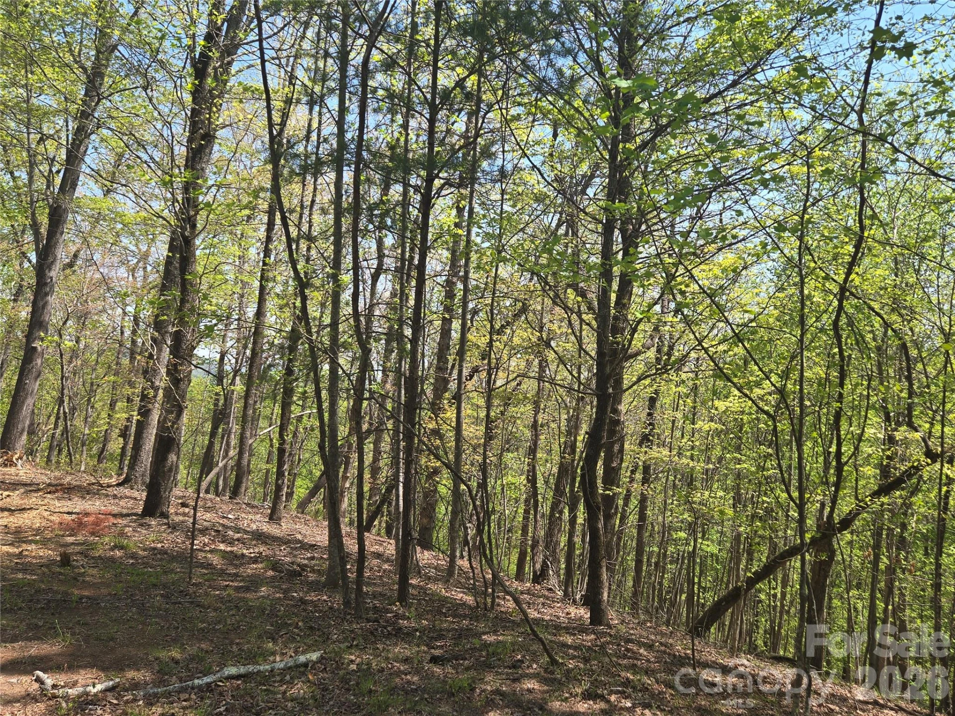 Lot 36 Turkey Fall Lane - Photo 12