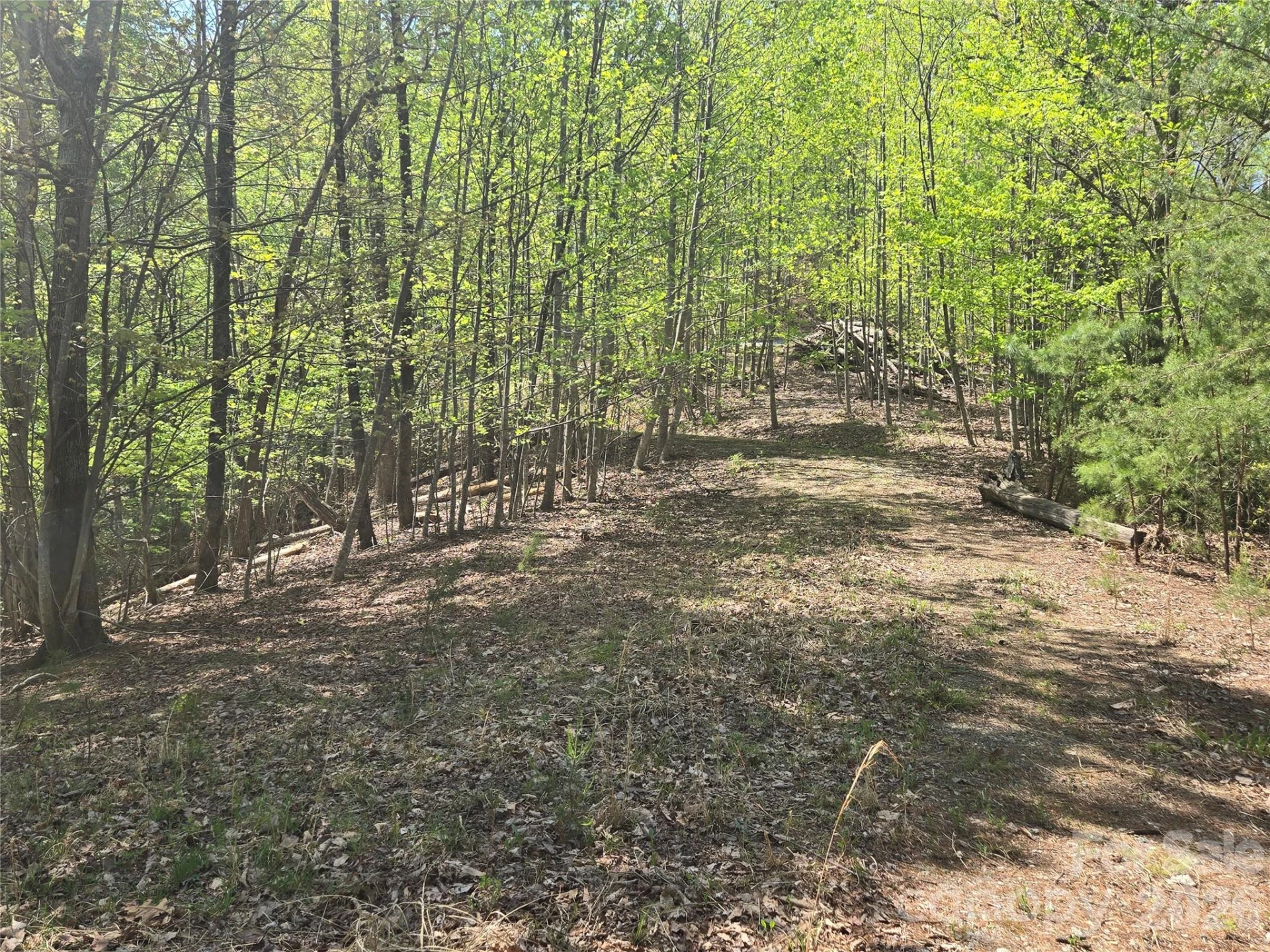 Lot 36 Turkey Fall Lane - Photo 13