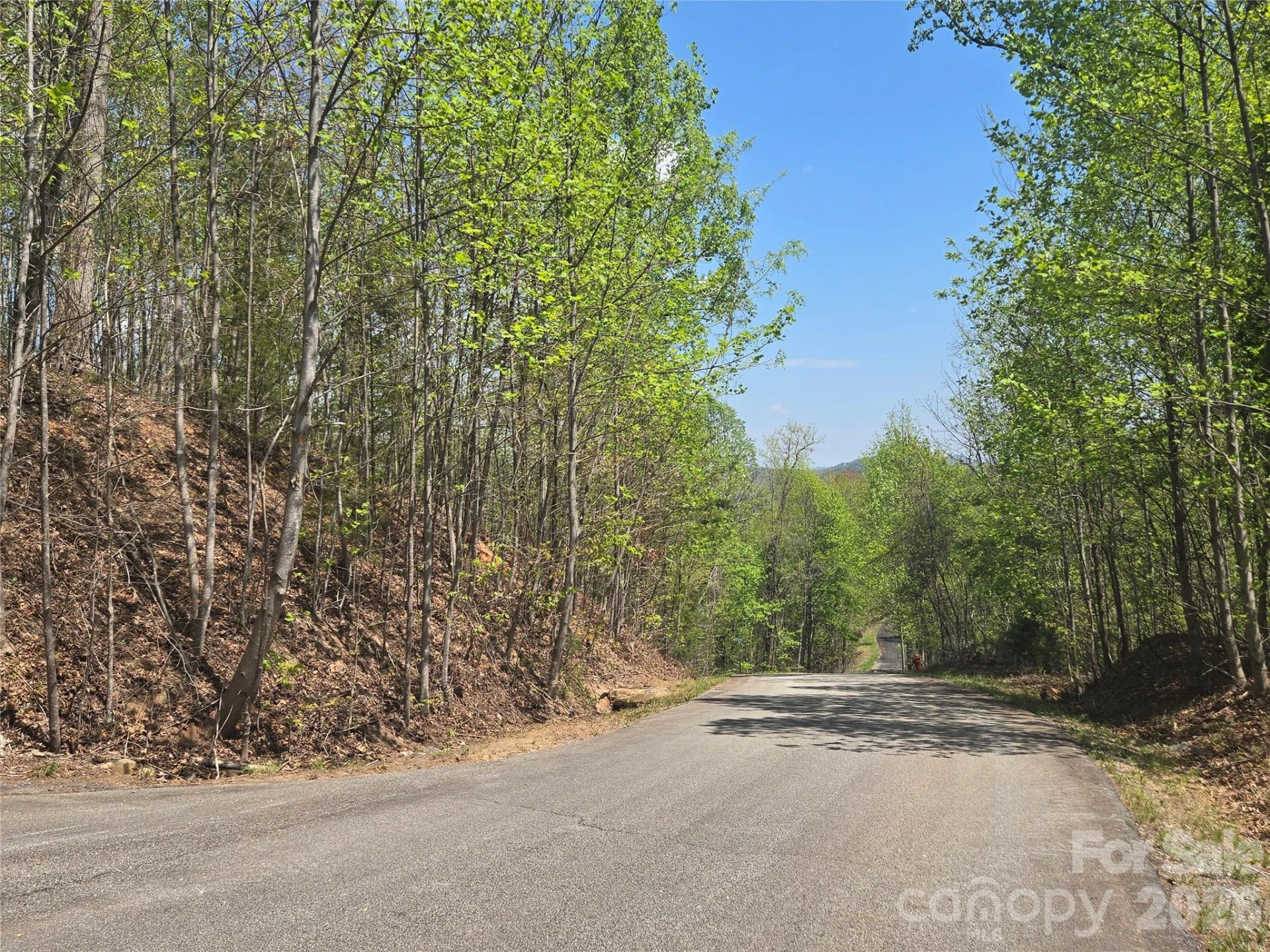 Lot 36 Turkey Fall Lane - Photo 14