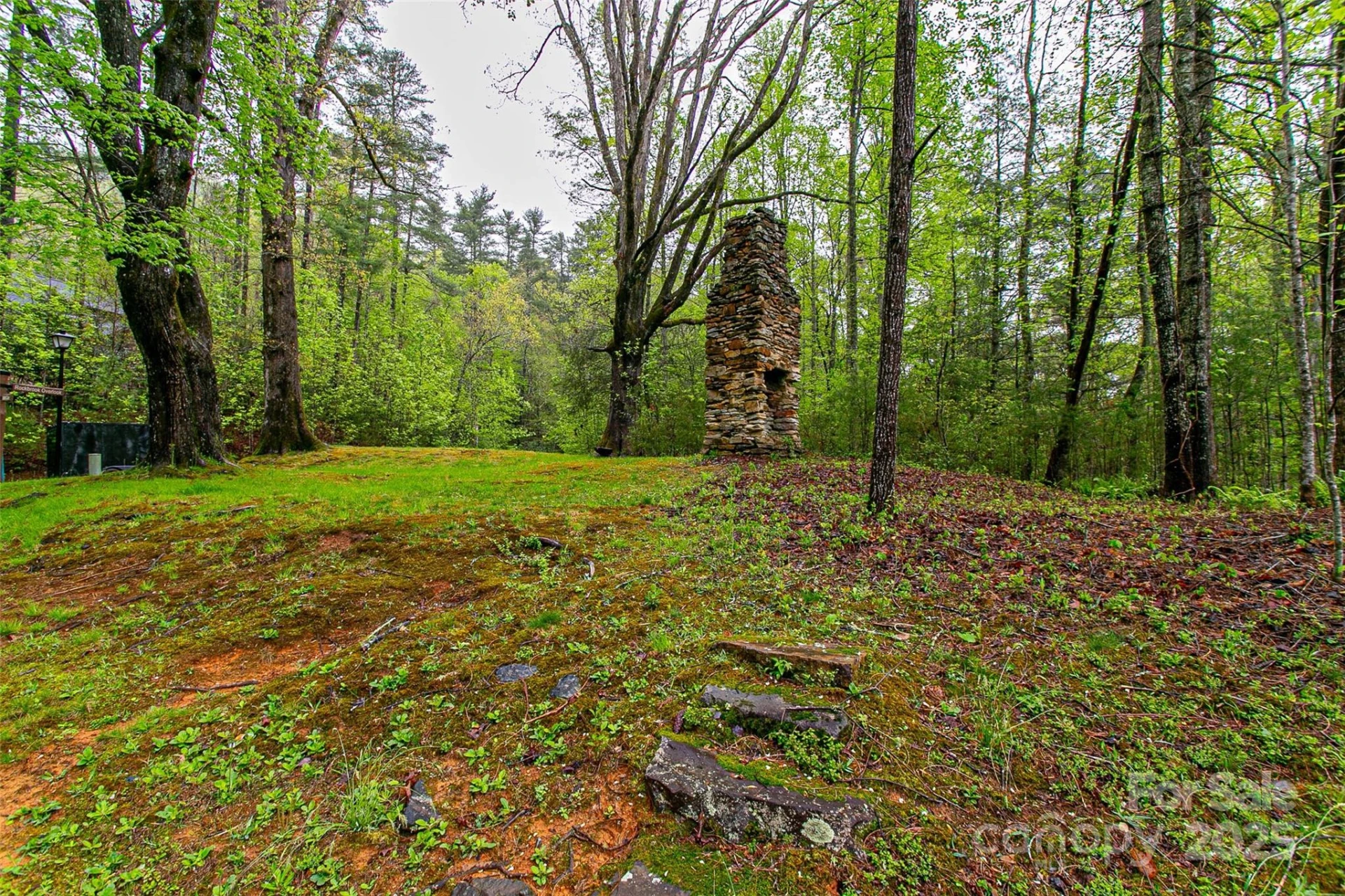 TBD High Hemlock Trail #46 - Photo 16