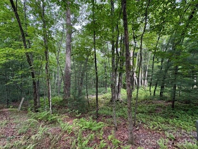 44 A Red Oak Lane #FR 44A - Photo 11
