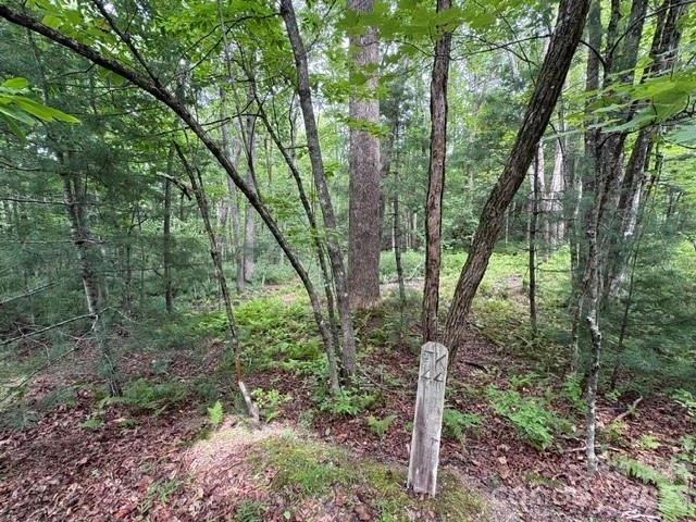 44 A Red Oak Lane #FR 44A - Photo 10