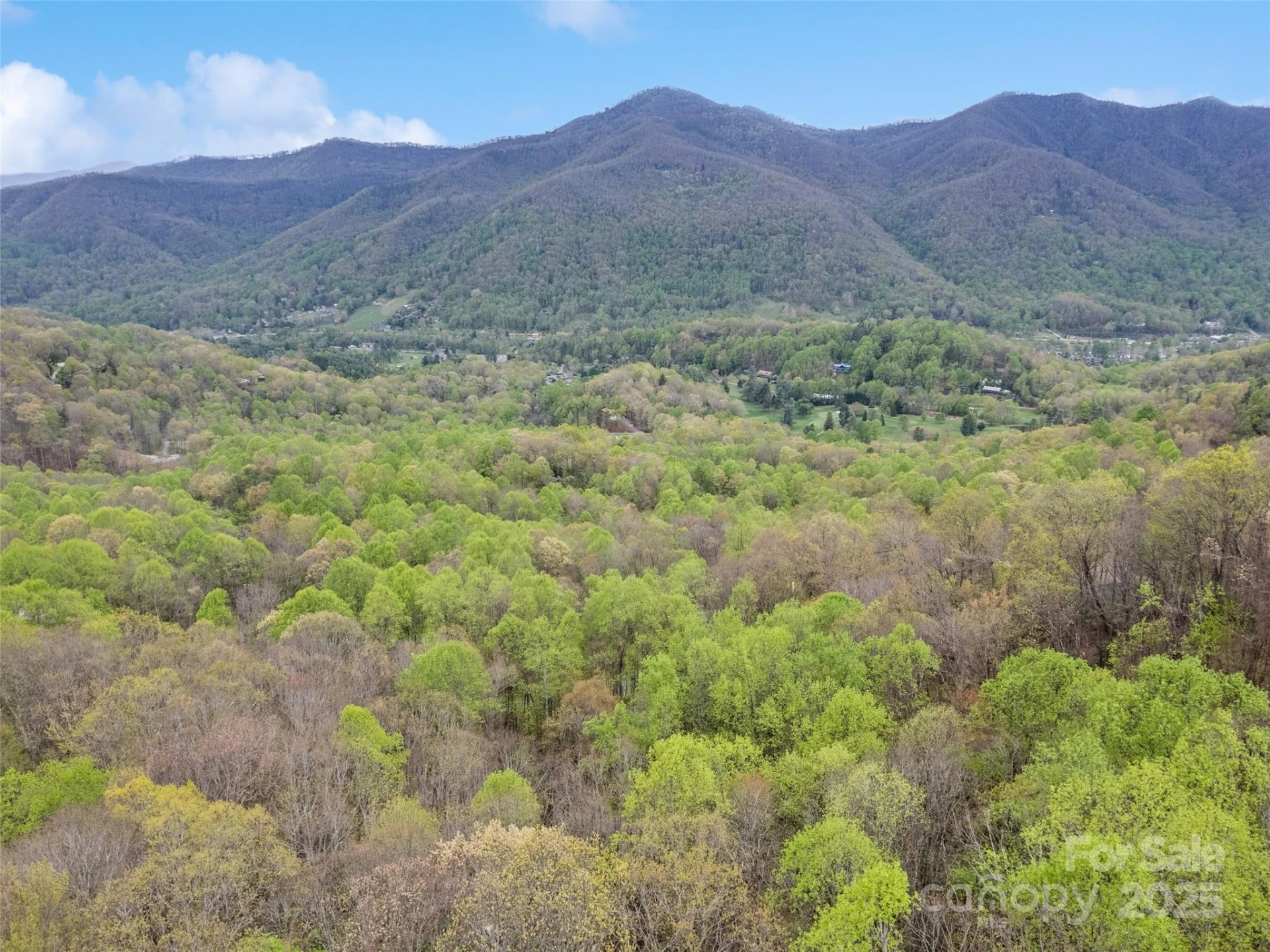 TBD Laurel Ridge Drive - Photo 2