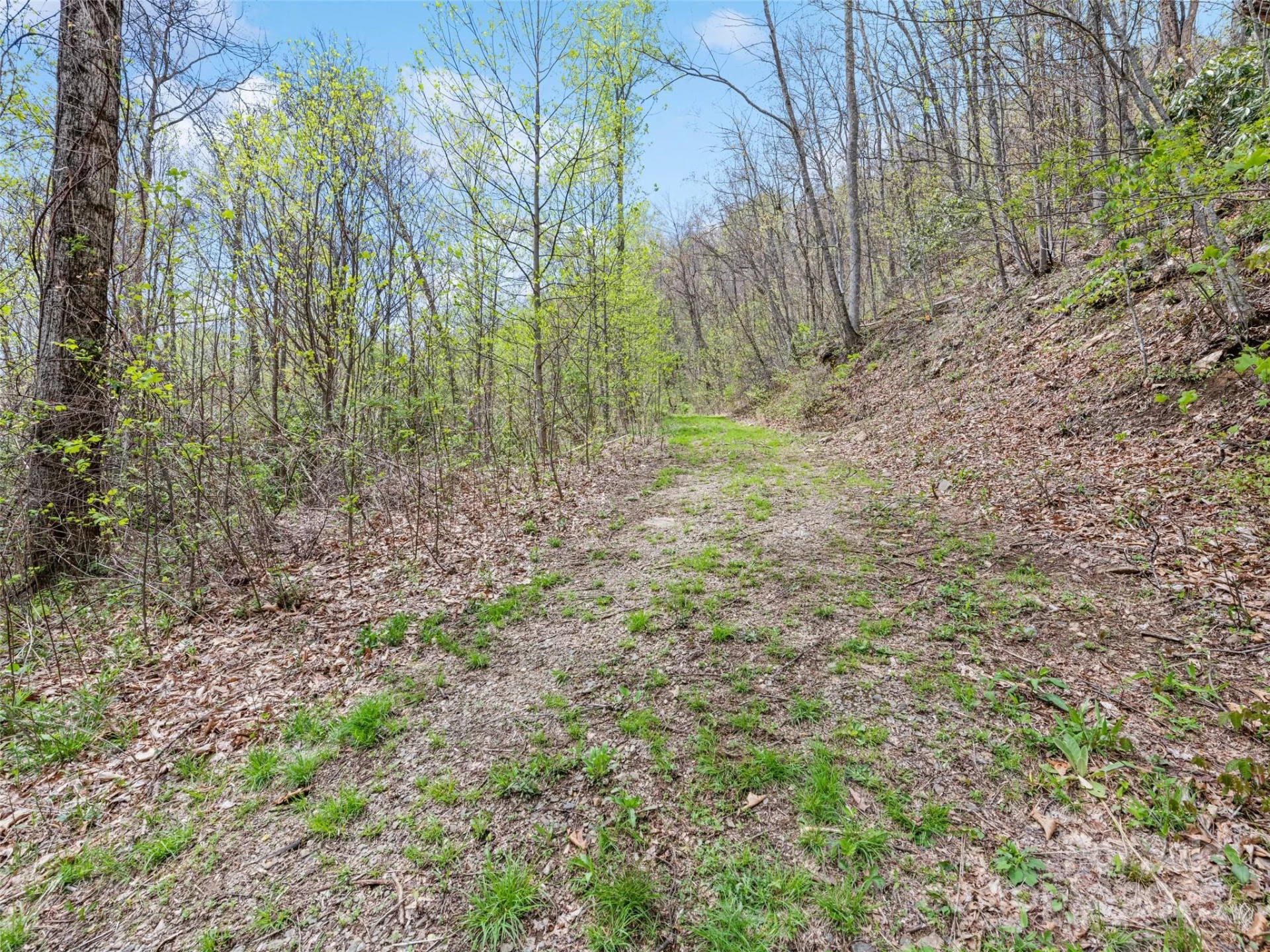 TBD Laurel Ridge Drive - Photo 12