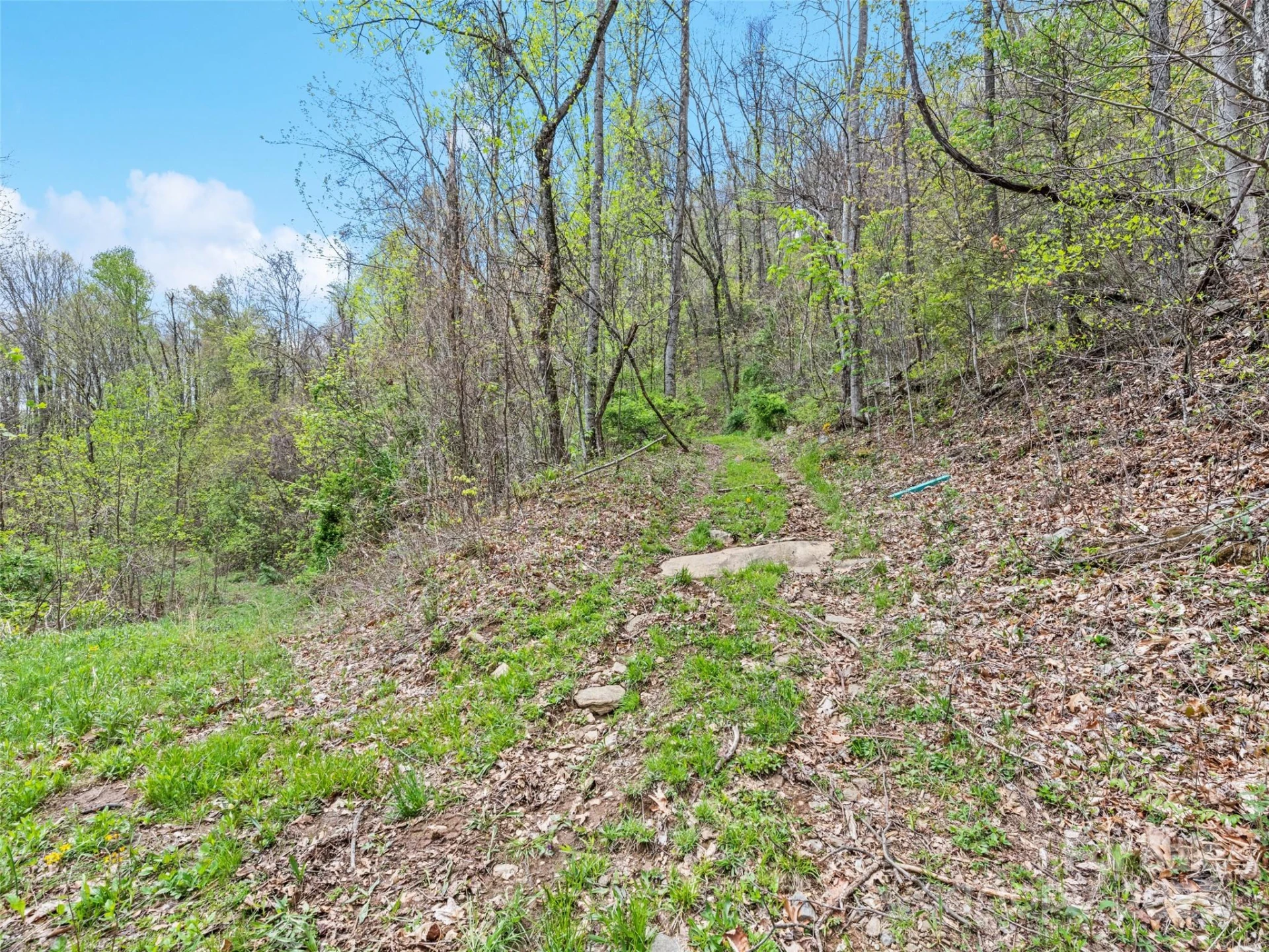 TBD Laurel Ridge Drive - Photo 13