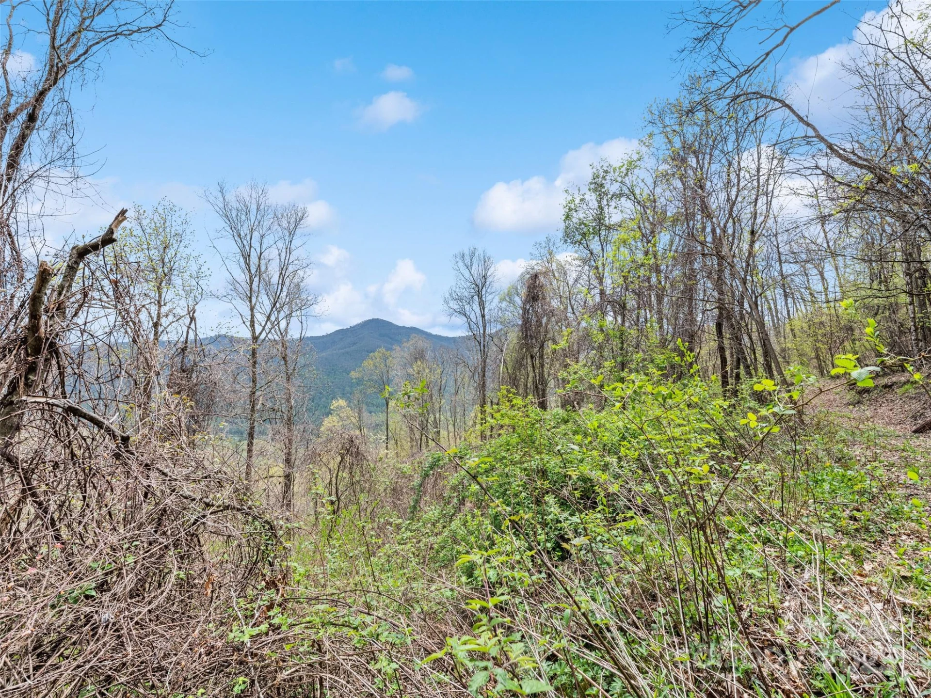 TBD Laurel Ridge Drive - Photo 18