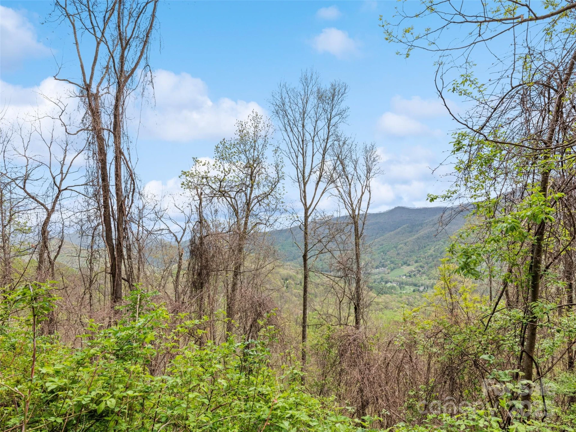 TBD Laurel Ridge Drive - Photo 20