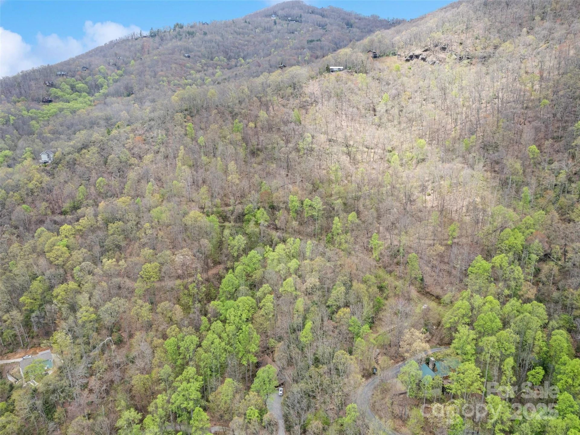 TBD Laurel Ridge Drive - Photo 5