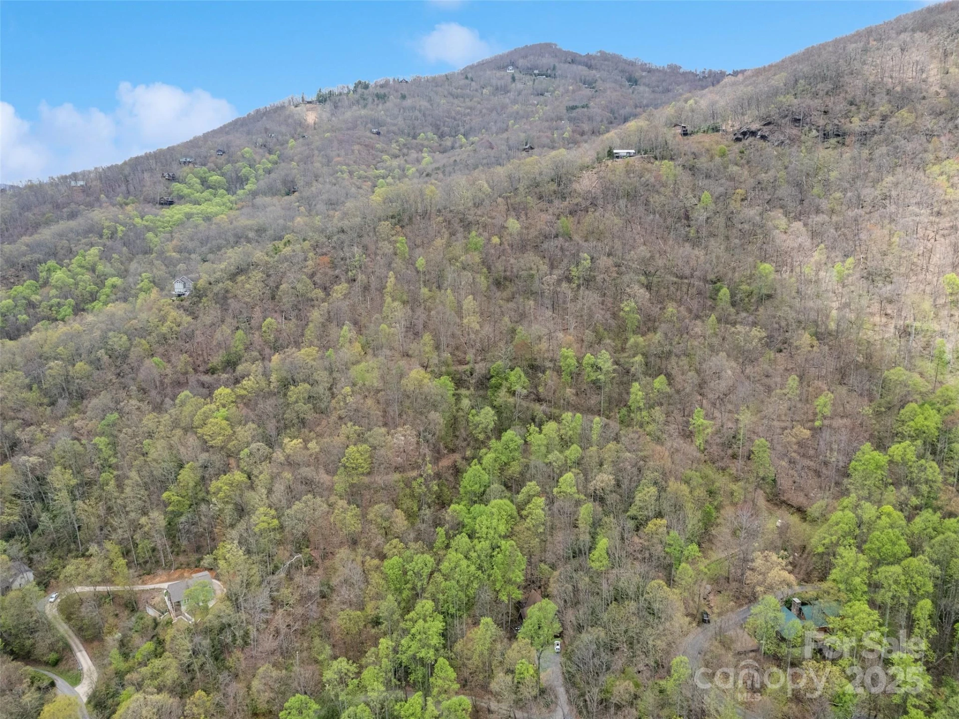 TBD Laurel Ridge Drive - Photo 6