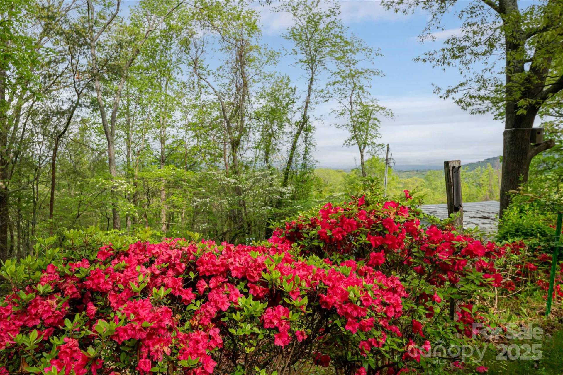 25 Coal Creek Lane - Photo 3