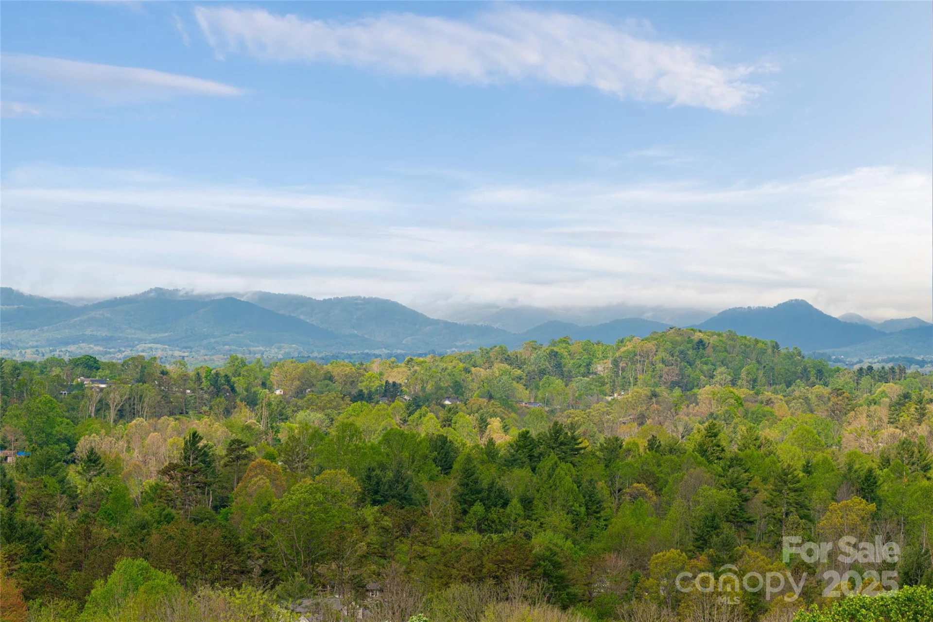 25 Coal Creek Lane - Photo 4