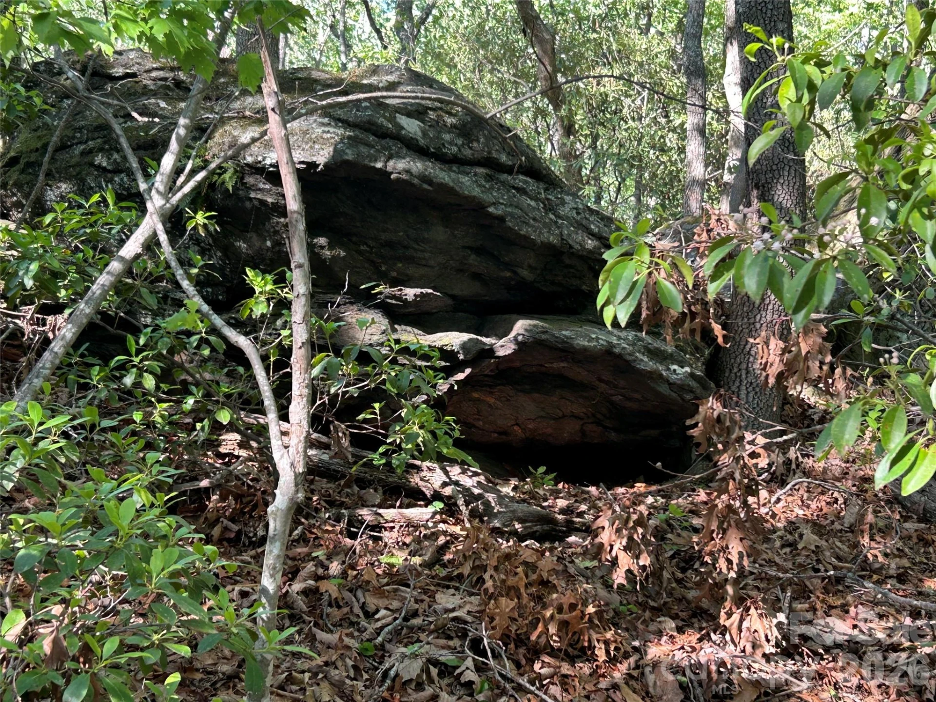 000 John Delk Road #2&6 - Photo 26