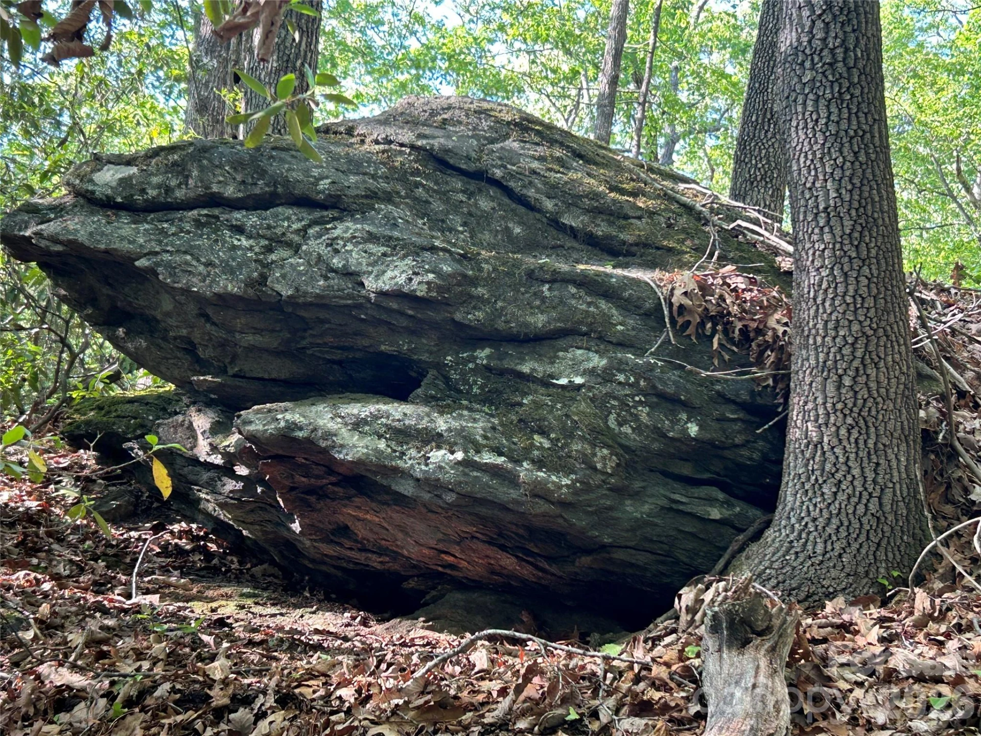 000 John Delk Road #2&6 - Photo 27