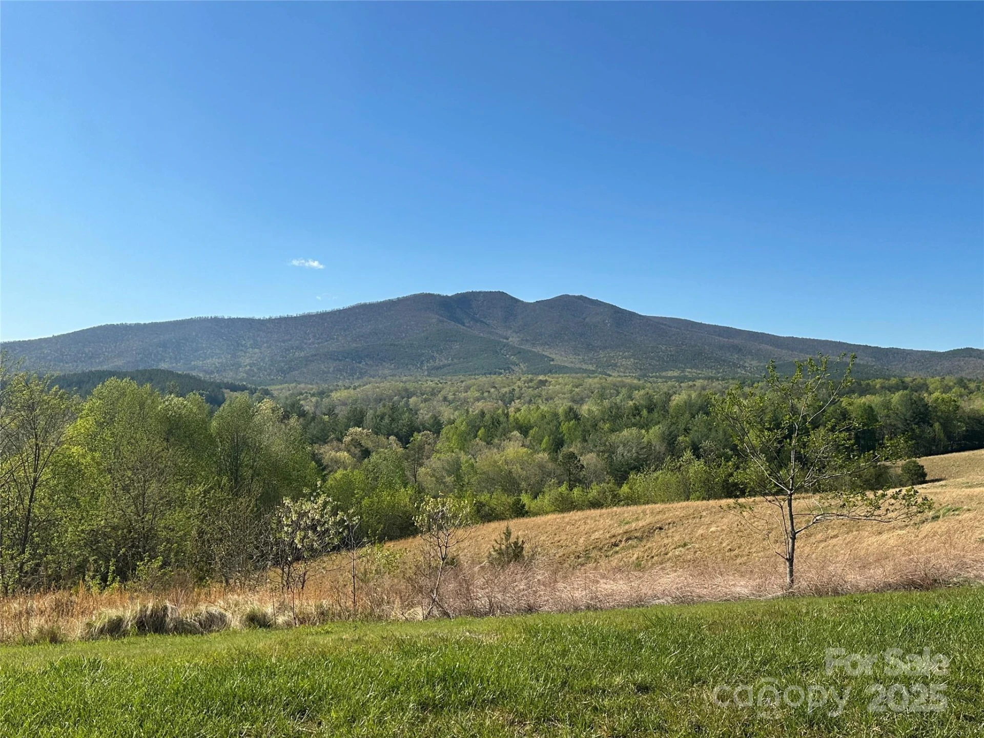 Vacant Lot 15 Lake Crest Drive #15