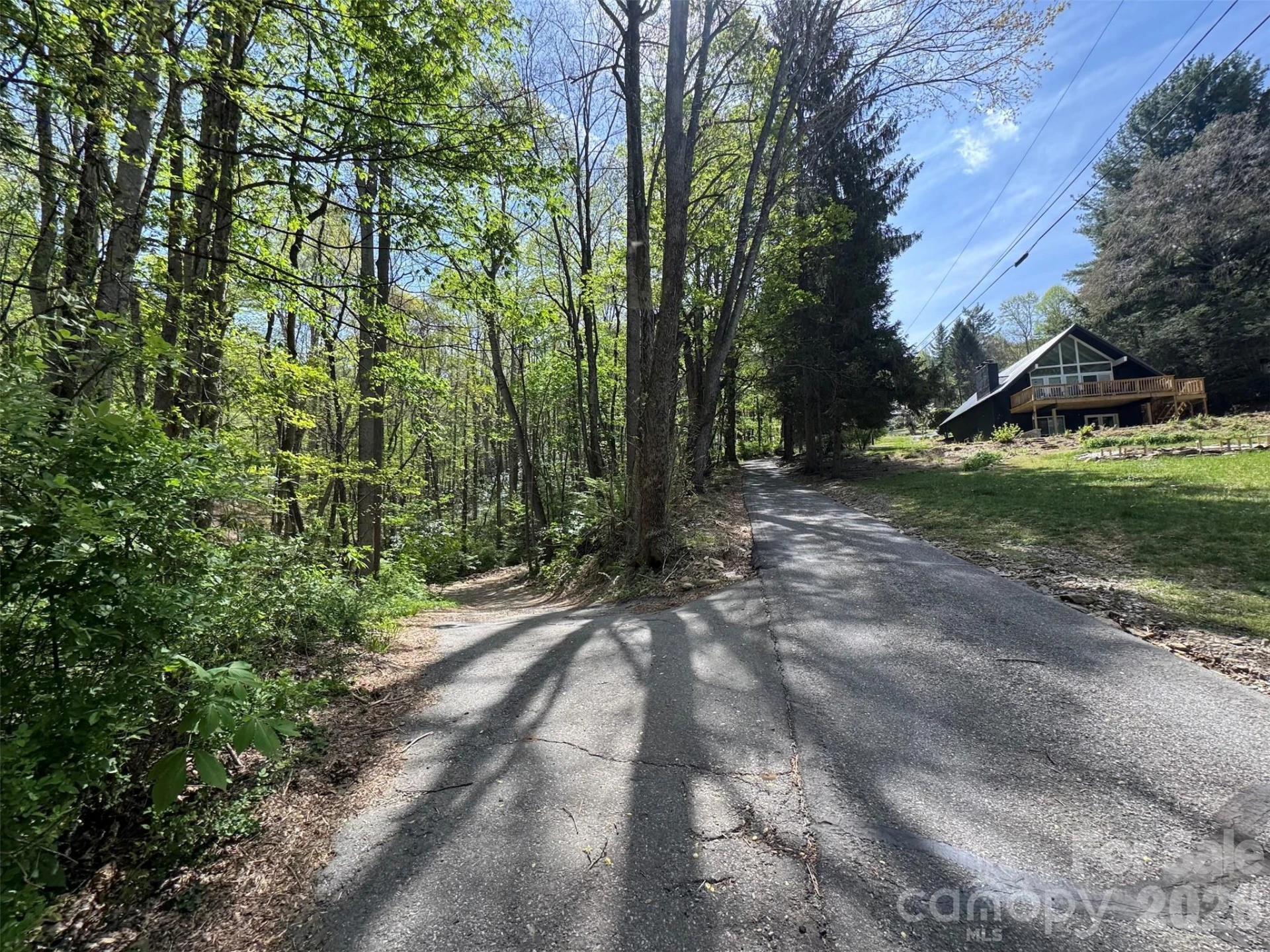 TBD (B) Browning Branch Road - Photo 12