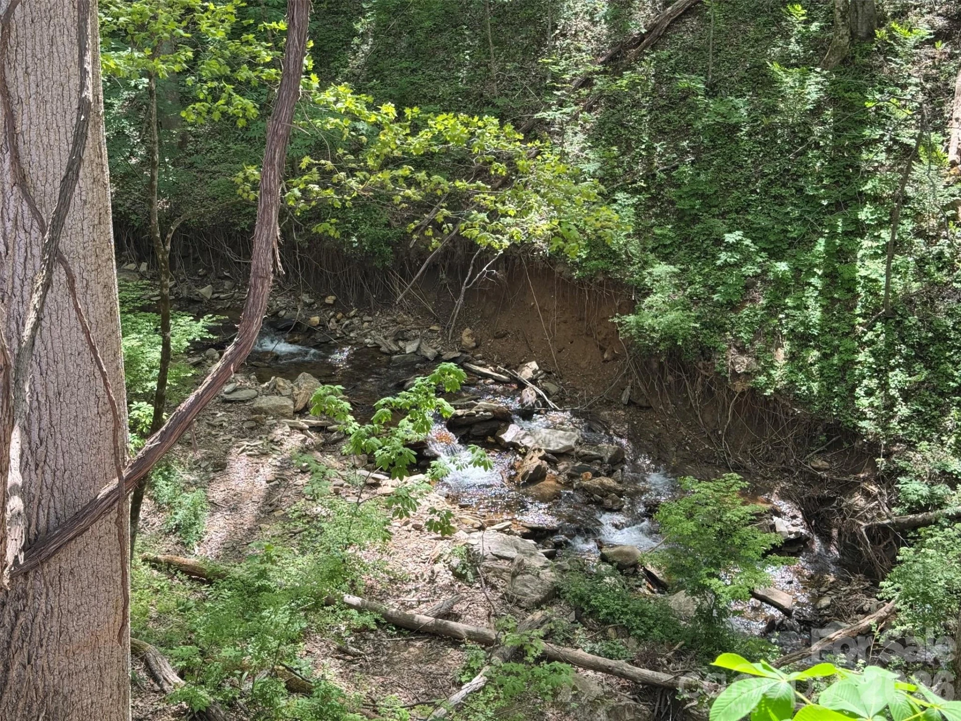 TBD (B) Browning Branch Road - Photo 7