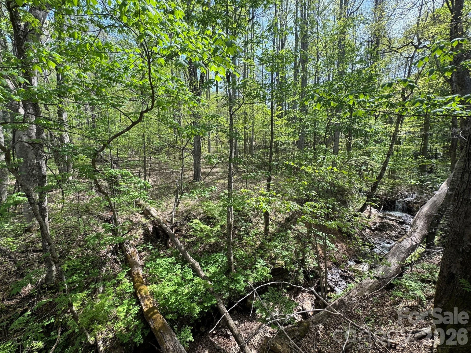 TBD (B) Browning Branch Road - Photo 10
