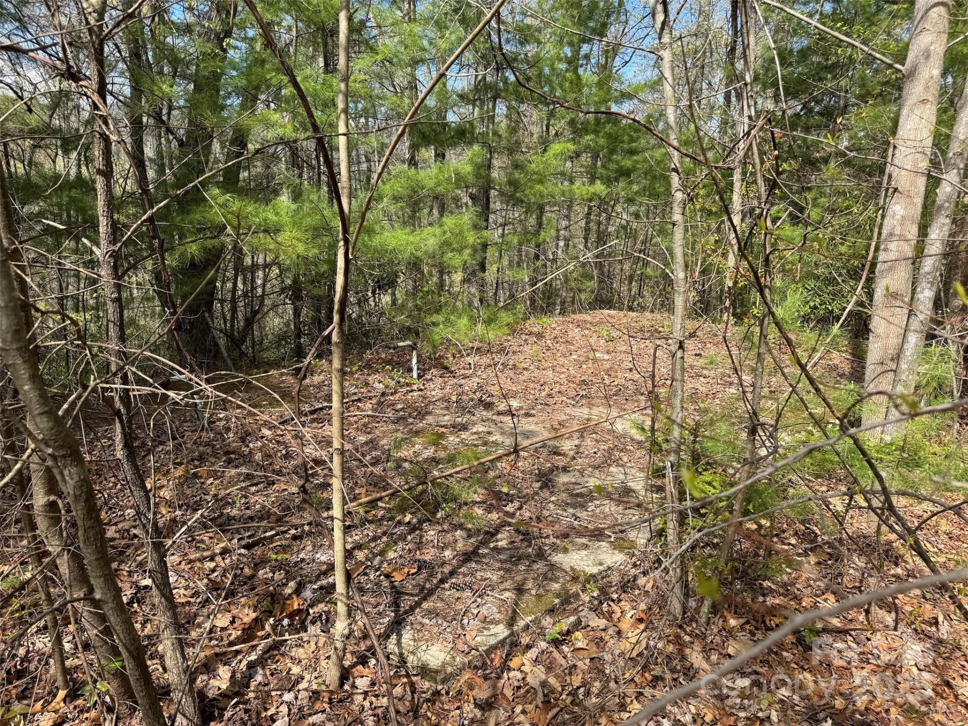 TBD (D) Chestnut Walk Drive - Photo 11