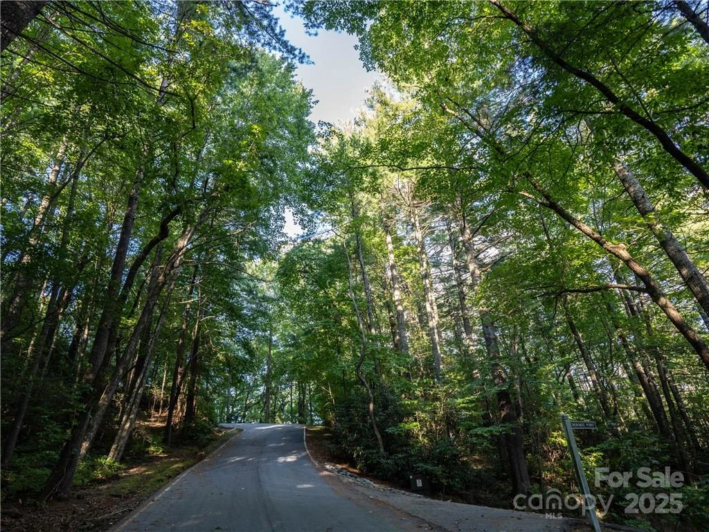 J 29 Cherokee Trace - Photo 18