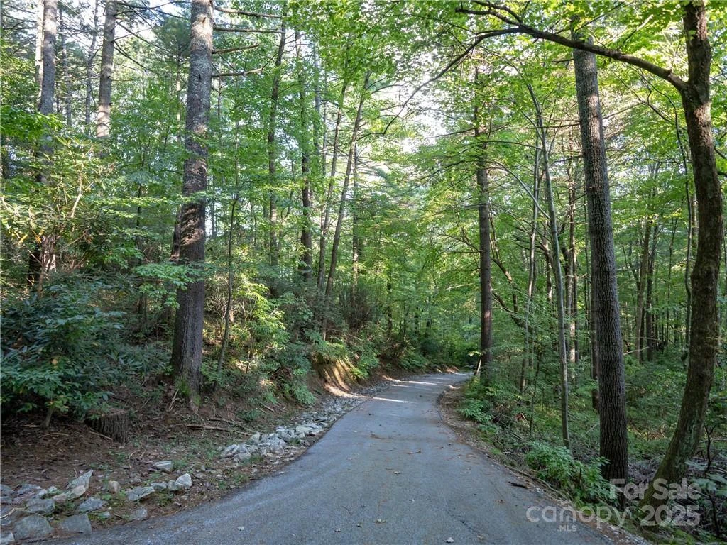 J 29 Cherokee Trace - Photo 19