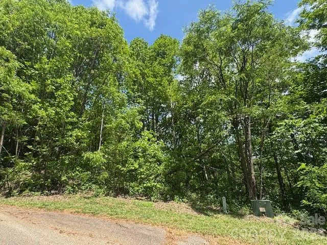 0 Ragans Pointe, Columbus, NC, 28722