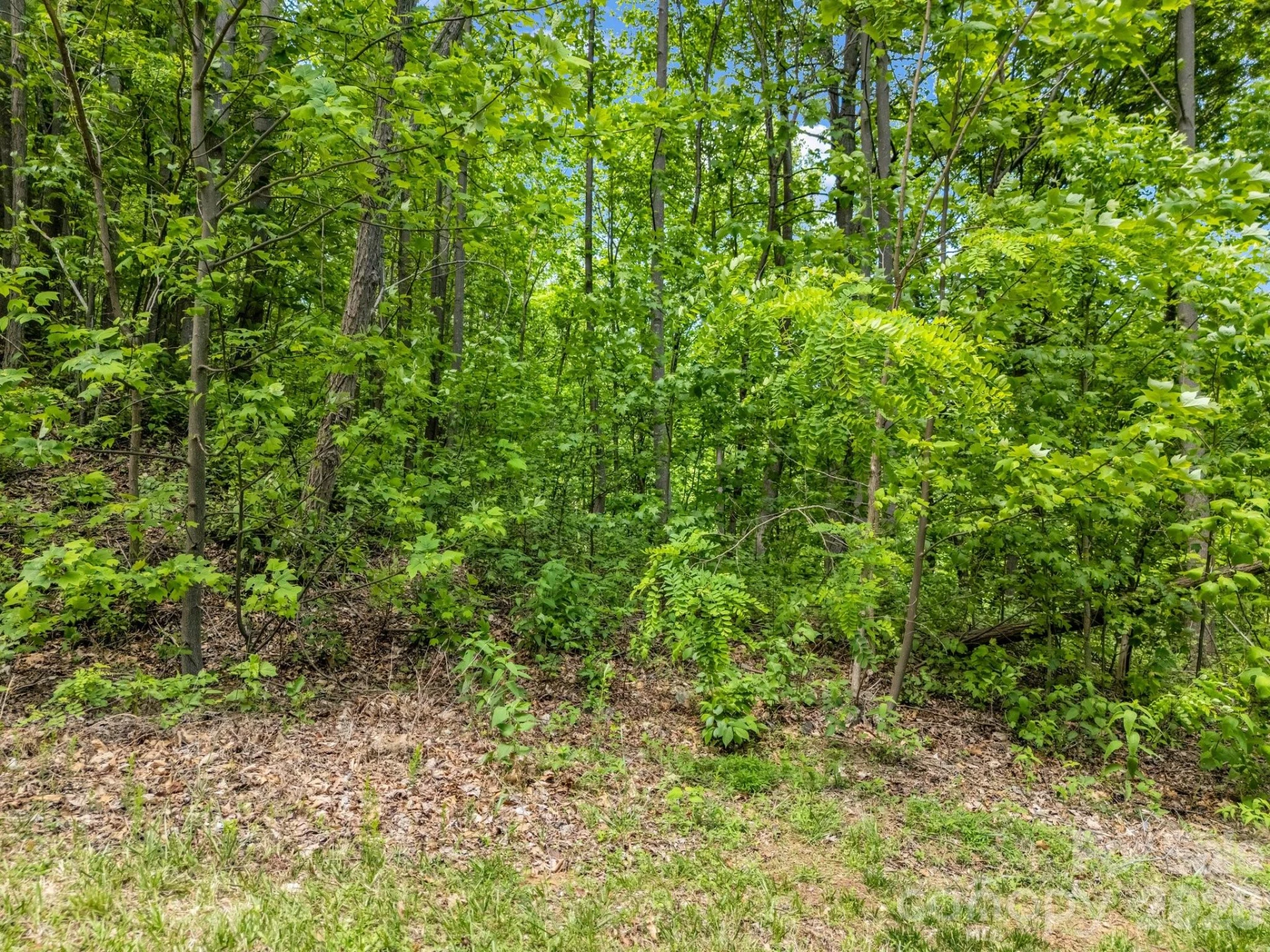 0 Ragans Pointe #31 - Photo 3