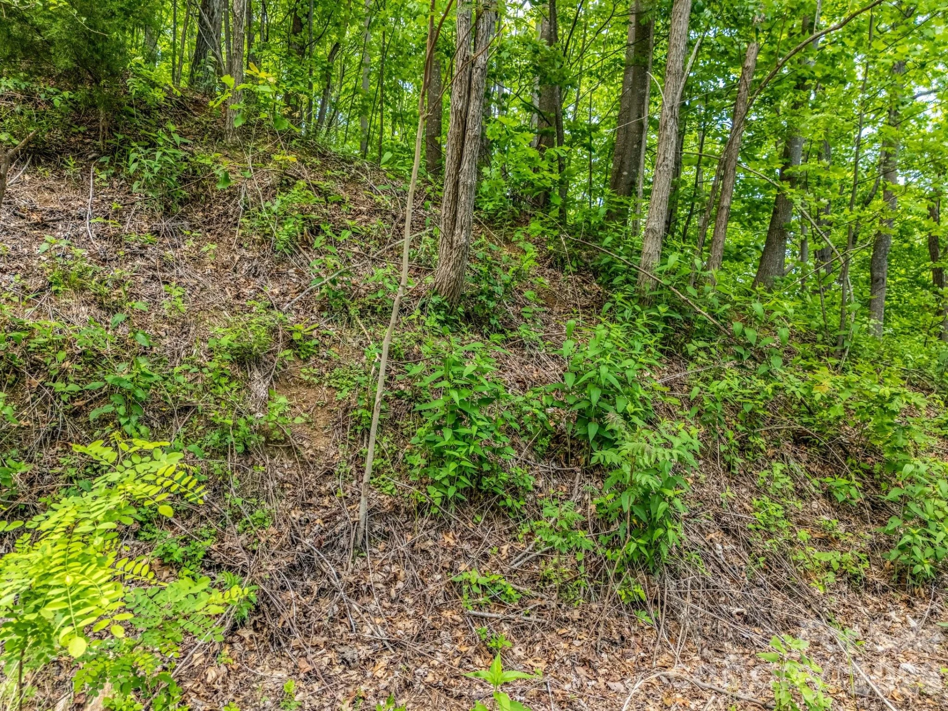 0 Ragans Pointe #31 - Photo 4