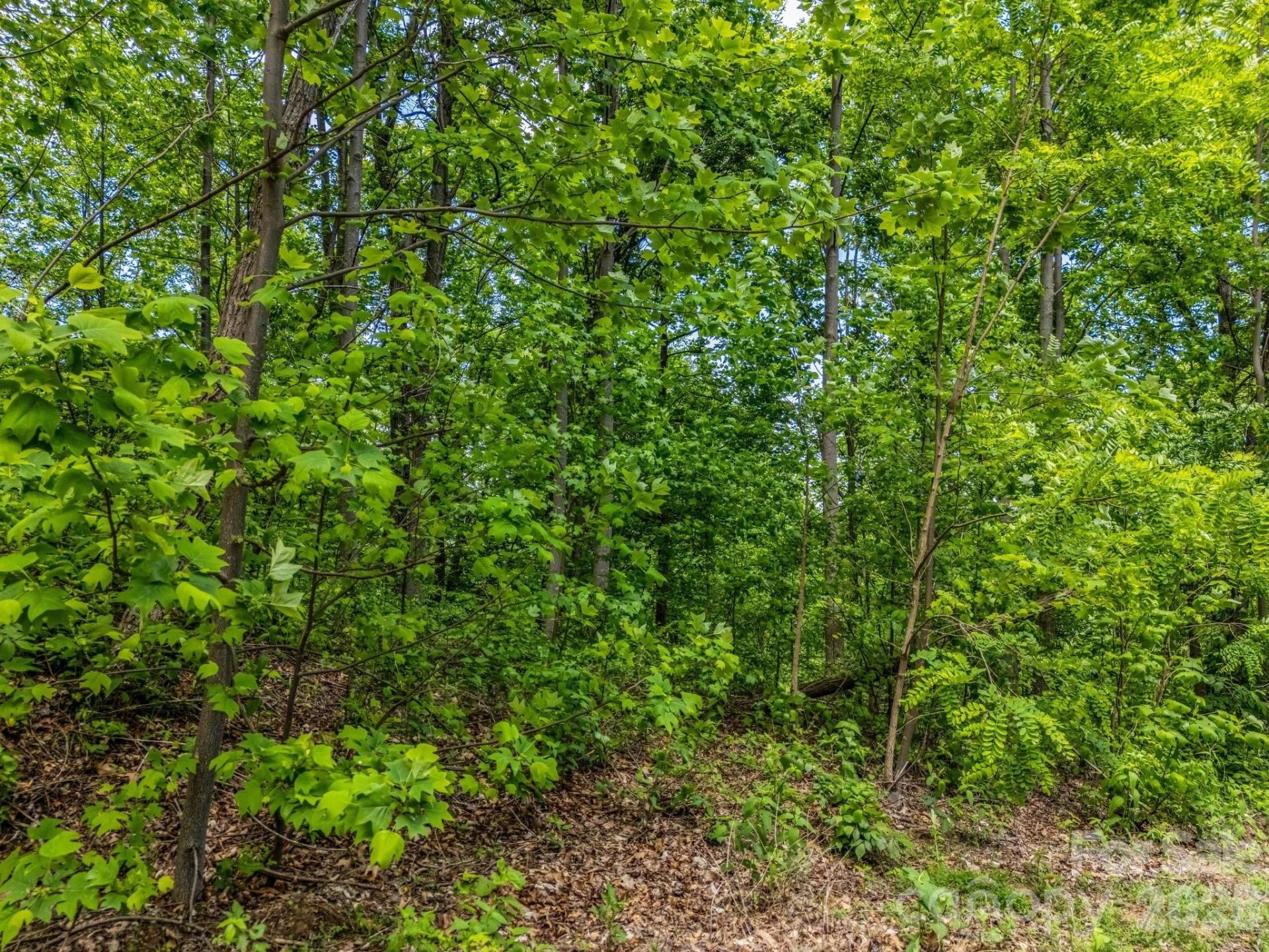 0 Ragans Pointe #31 - Photo 5