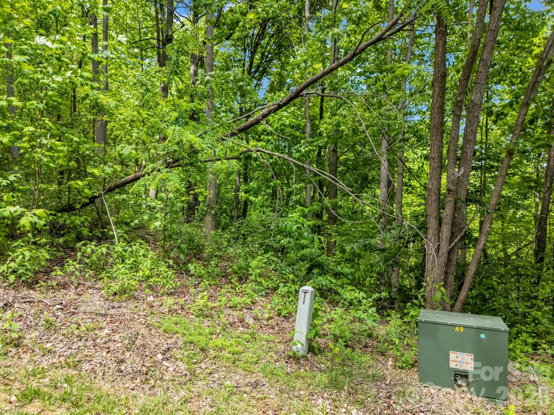 0 Ragans Pointe #31 - Photo 6