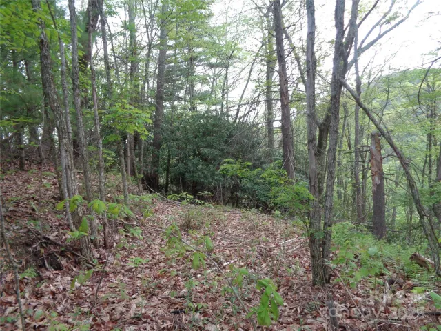 00 Promiseland Road, Canton, NC, 28716