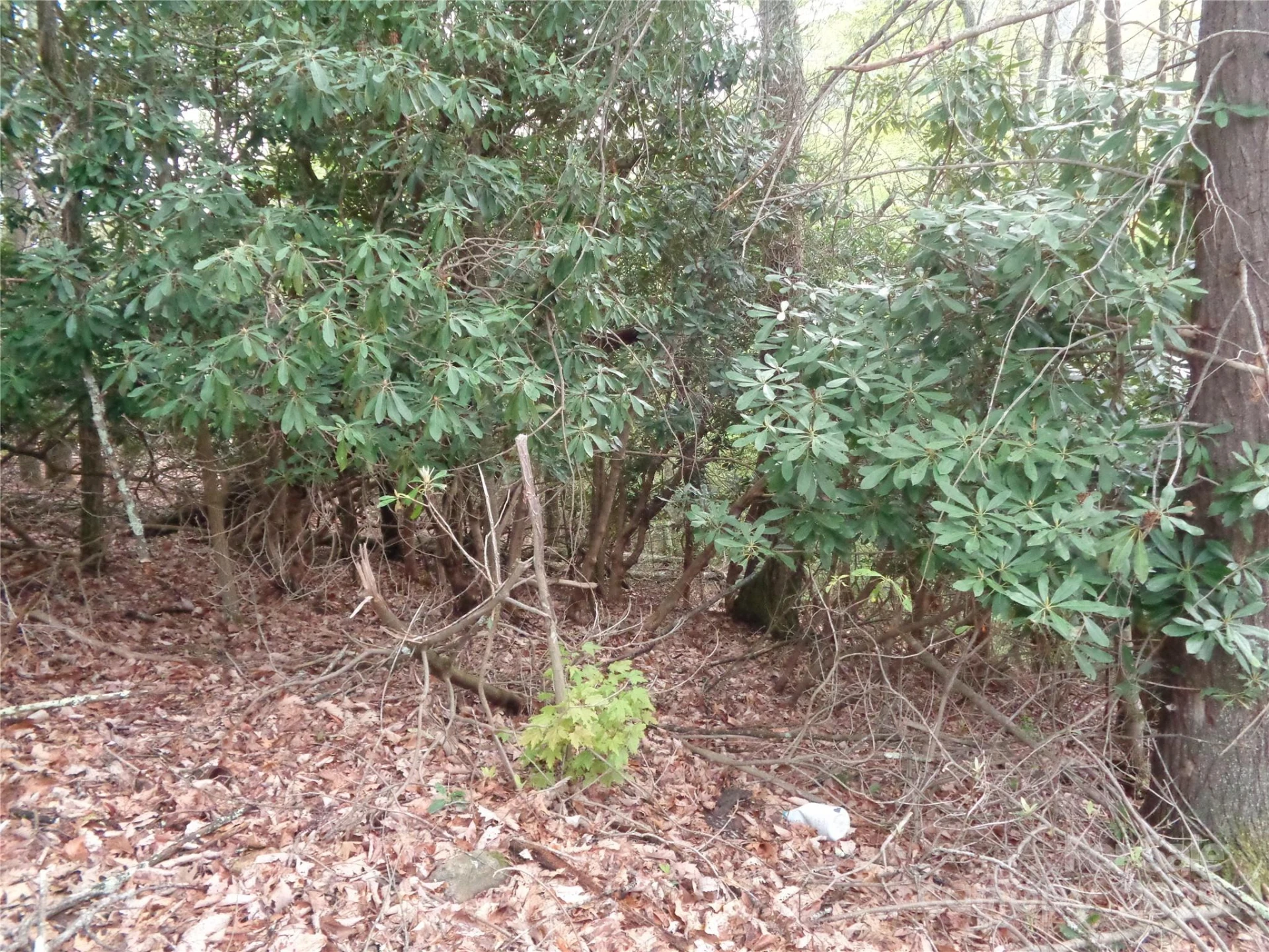 00 Promiseland Road - Photo 8