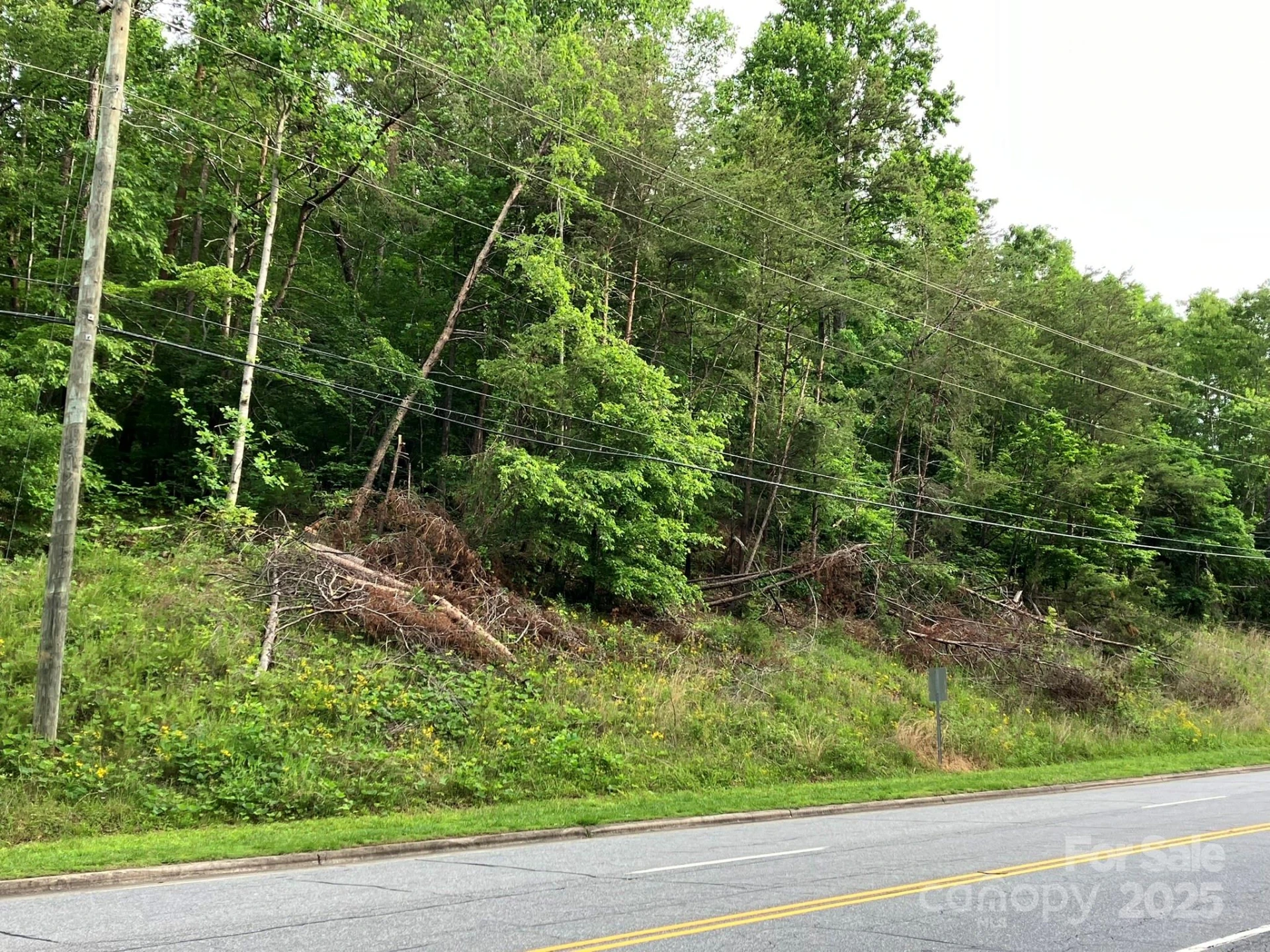 0 S Oak Street - Photo 6