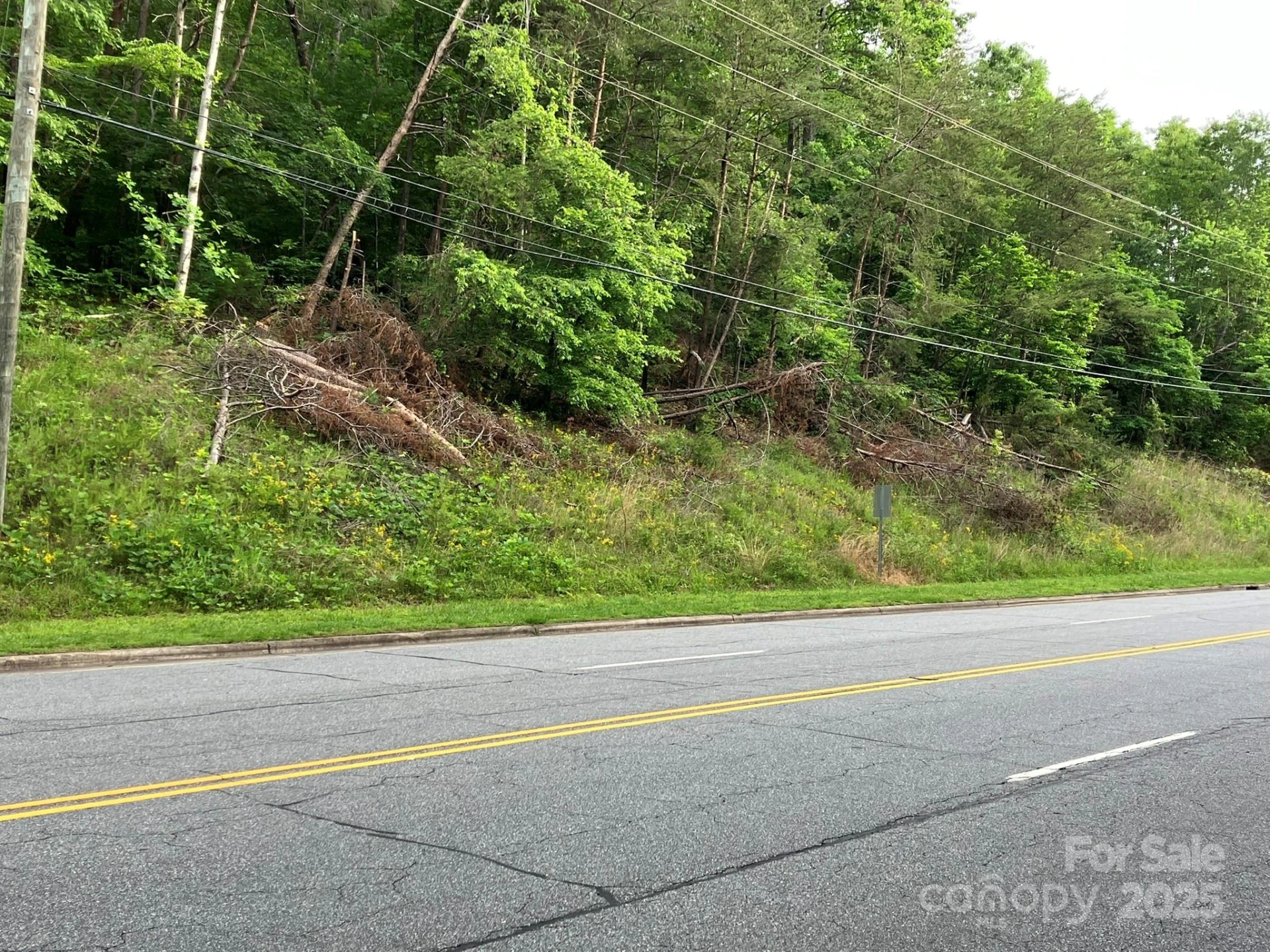 0 S Oak Street - Photo 7