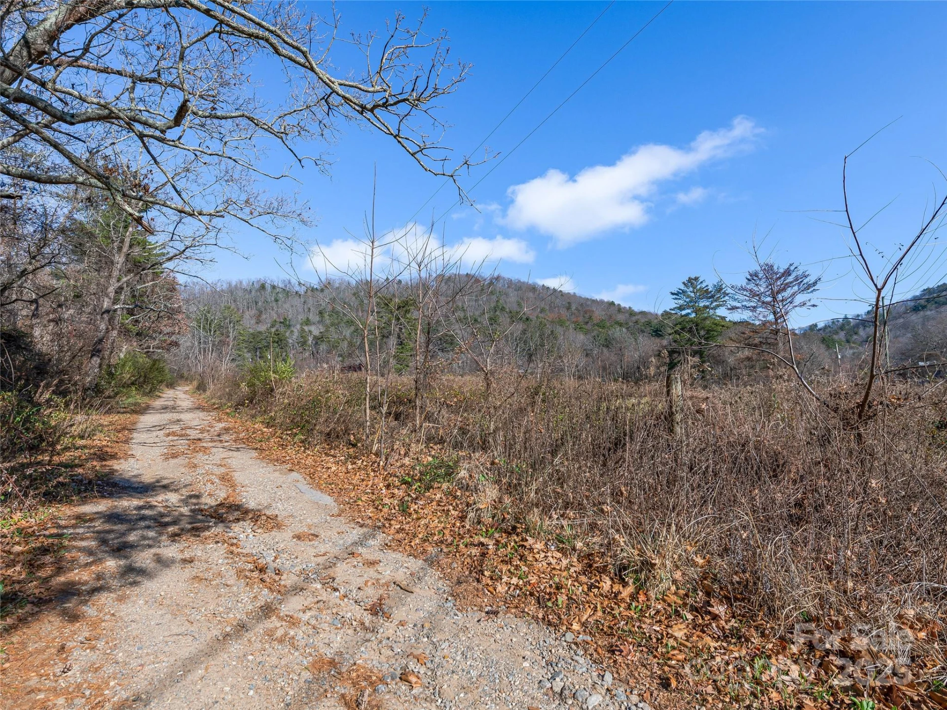 300 Baird Cove Road - Photo 19