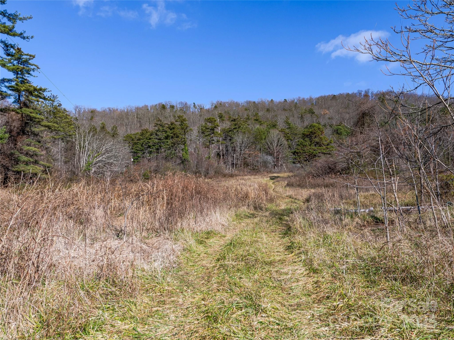 300 Baird Cove Road - Photo 31