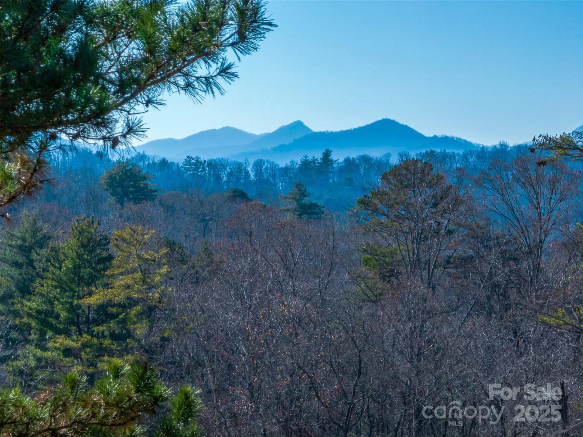 300 Baird Cove Road - Photo 9