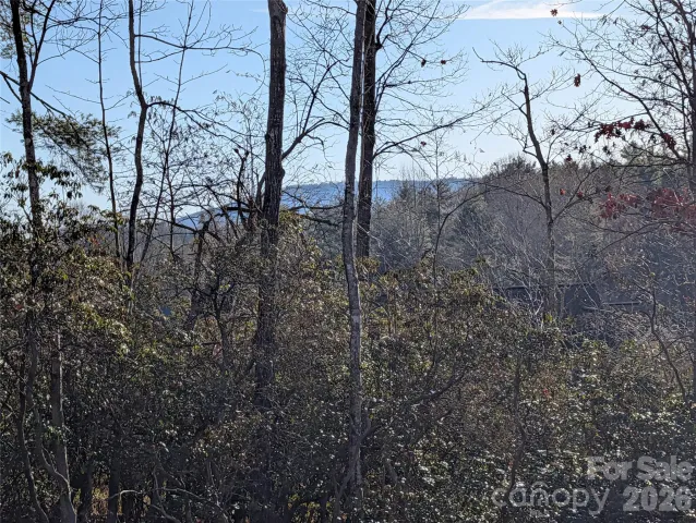 00 Winterberry Drive