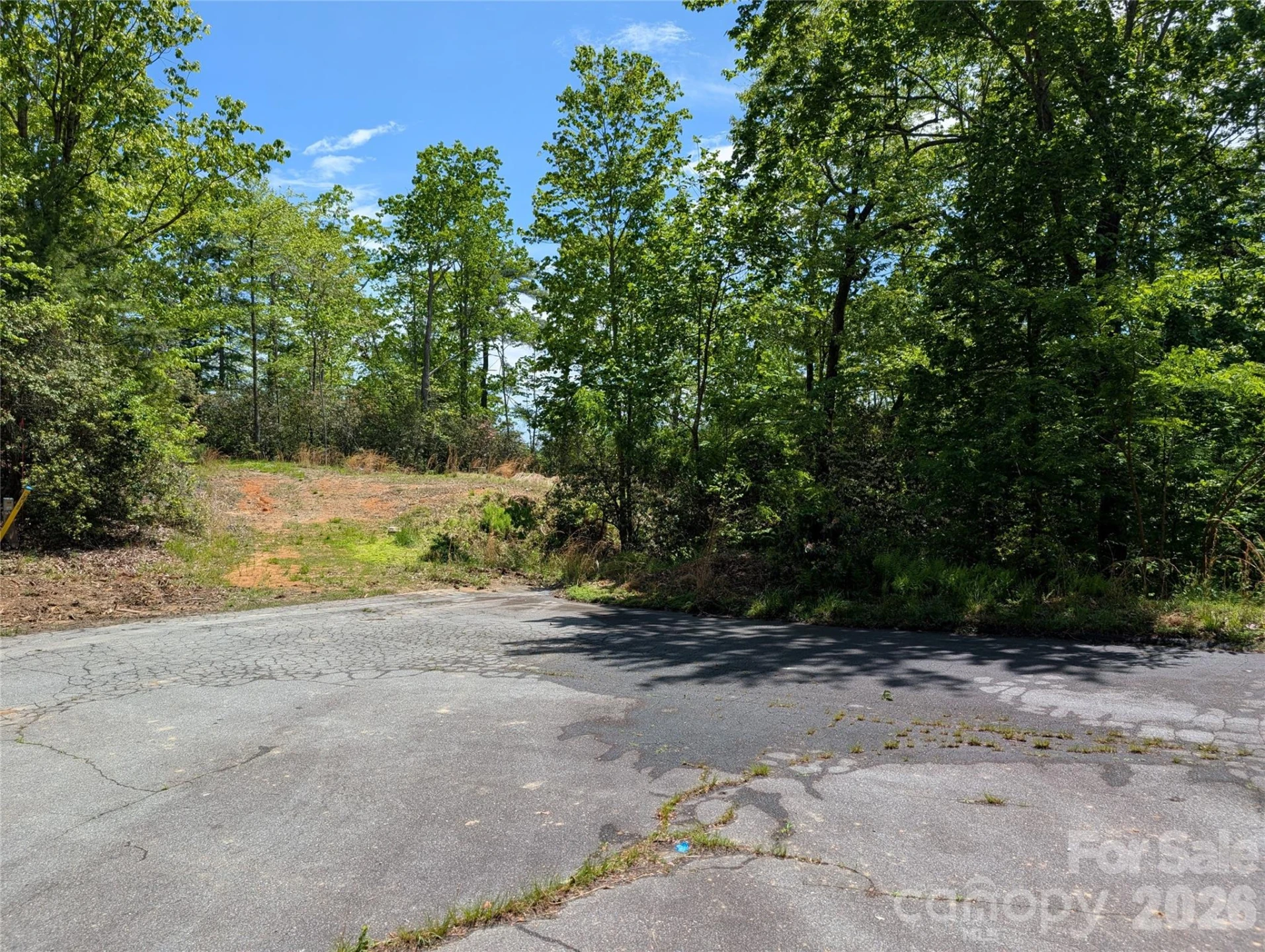 00 Winterberry Drive #54 - Photo 3
