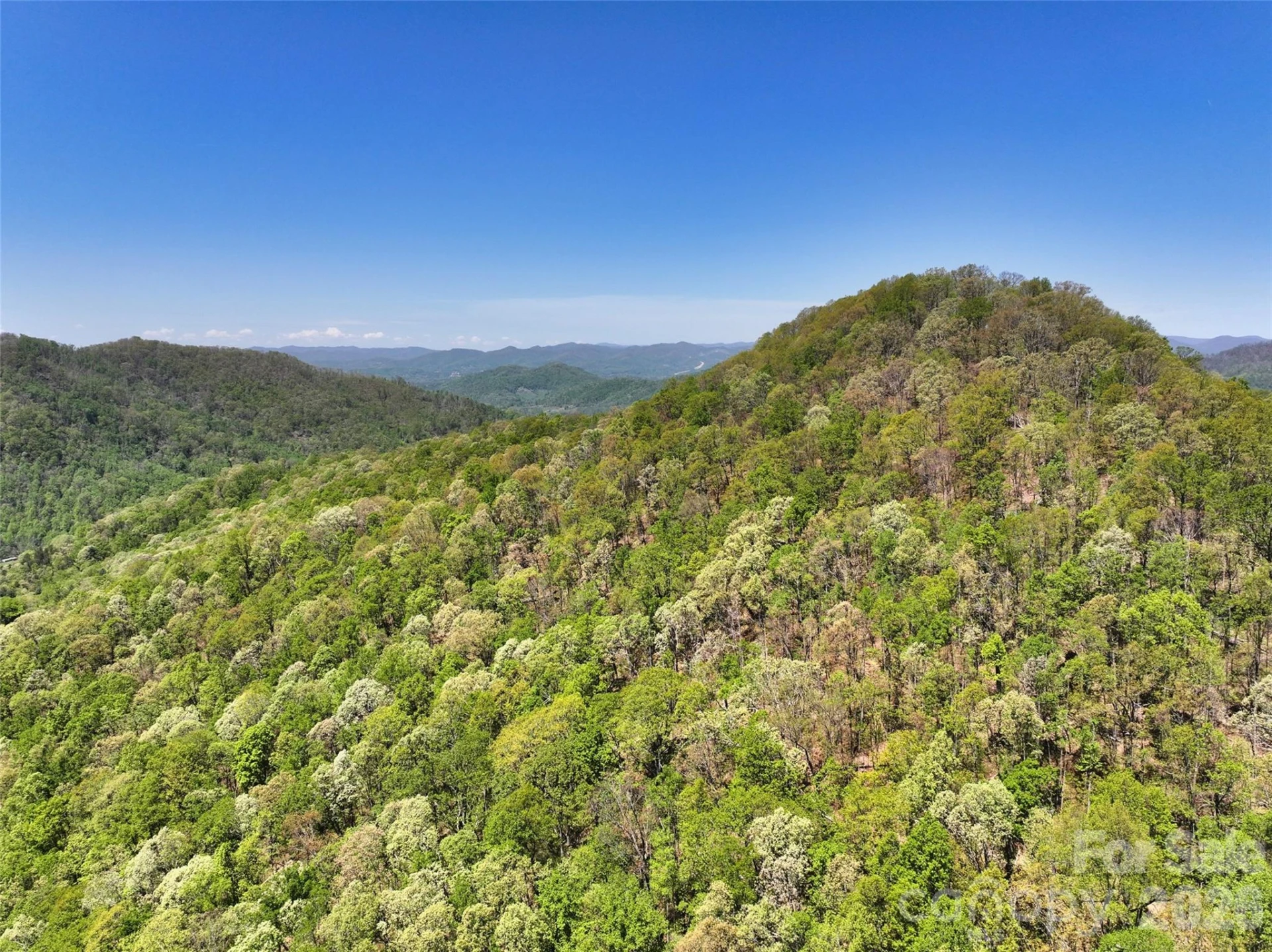 99999 Anderson Cove Road - Photo 2
