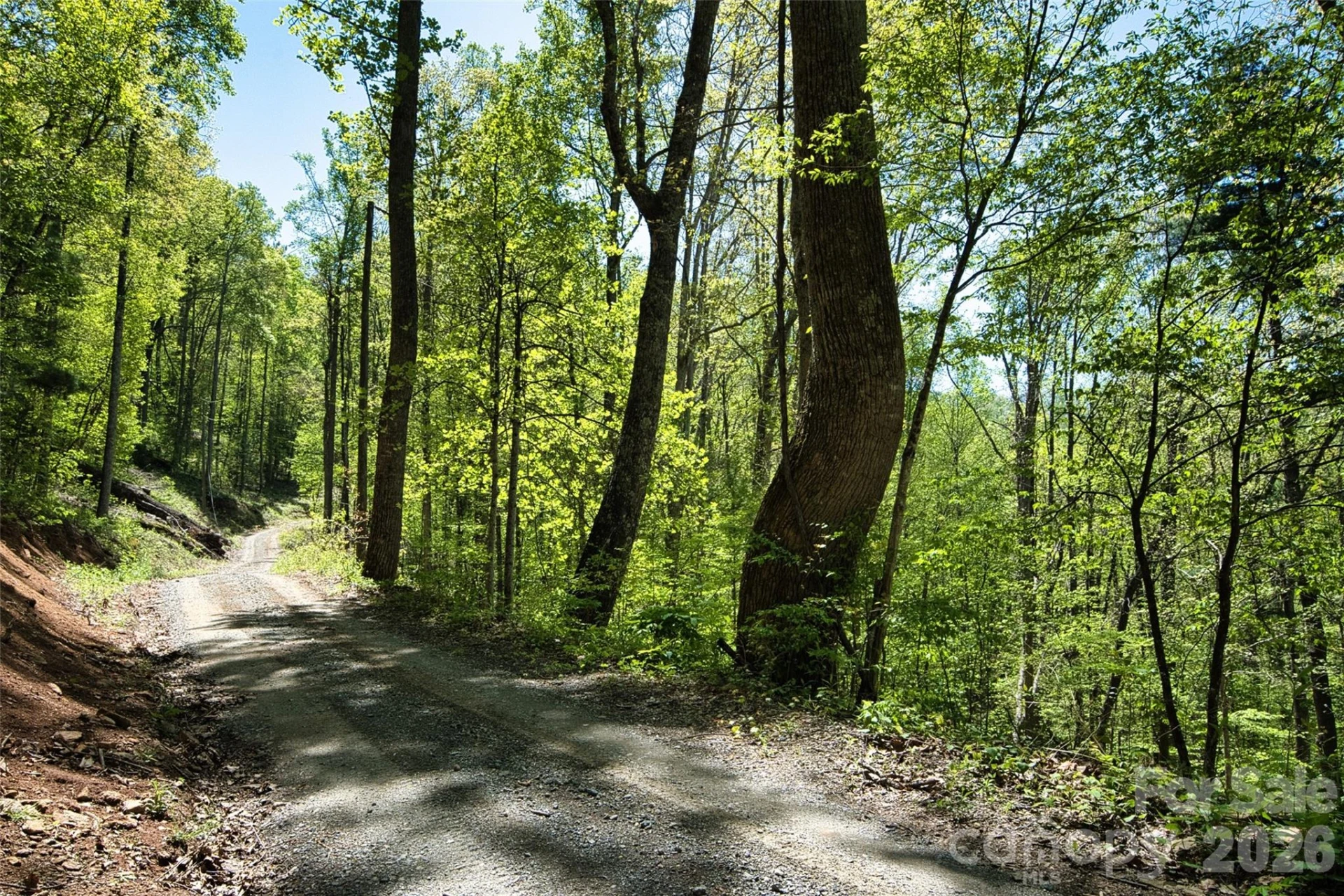 99999 Anderson Cove Road - Photo 9