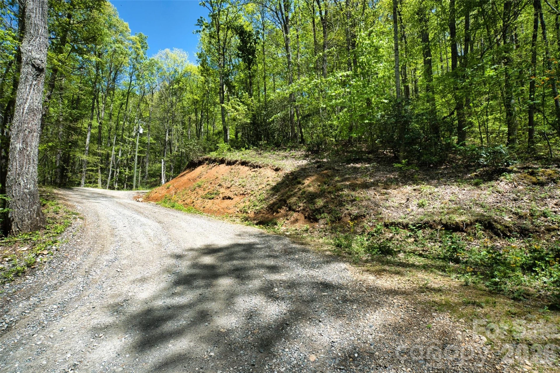 99999 Anderson Cove Road - Photo 10