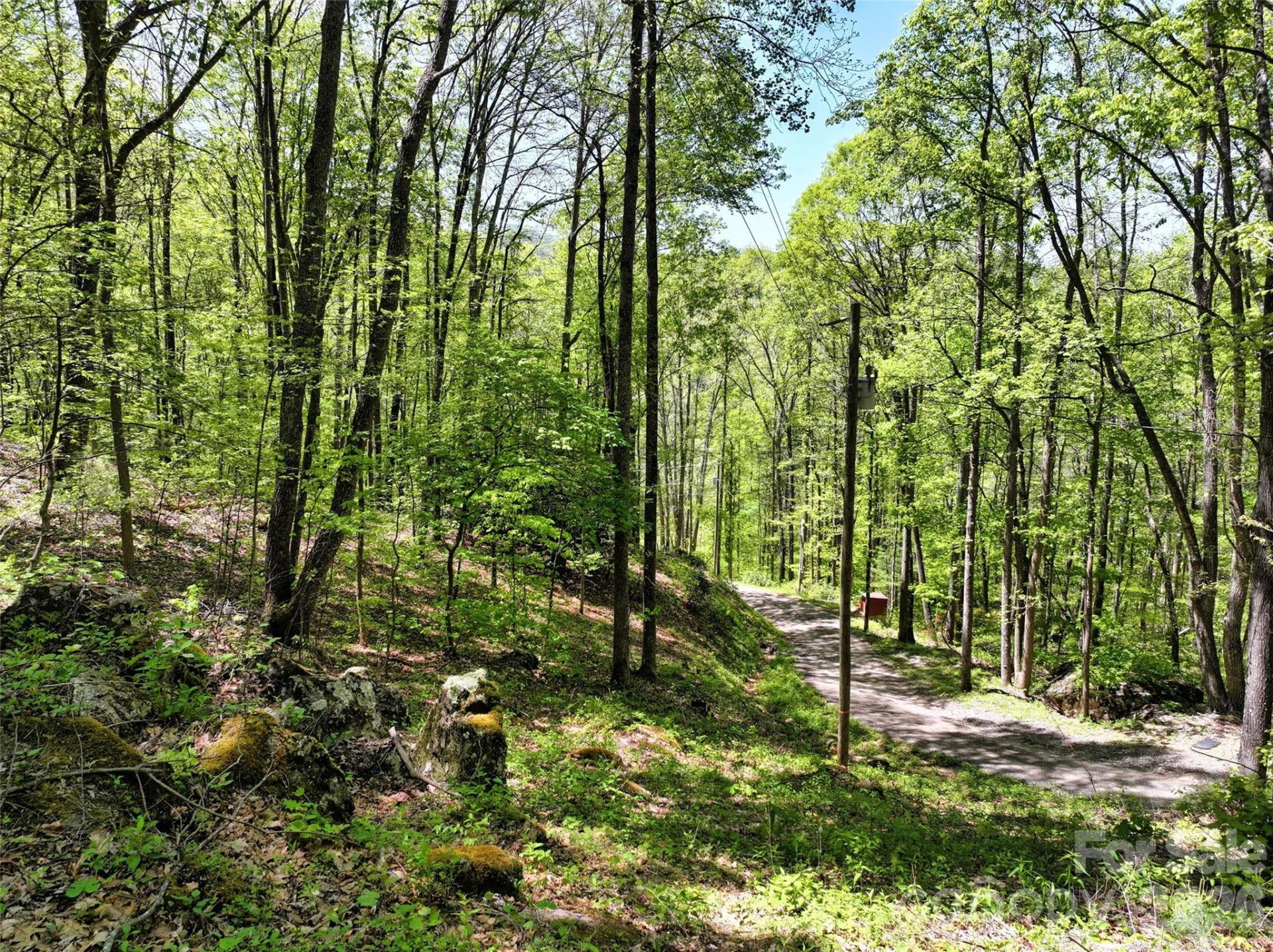 99999 Anderson Cove Road - Photo 23