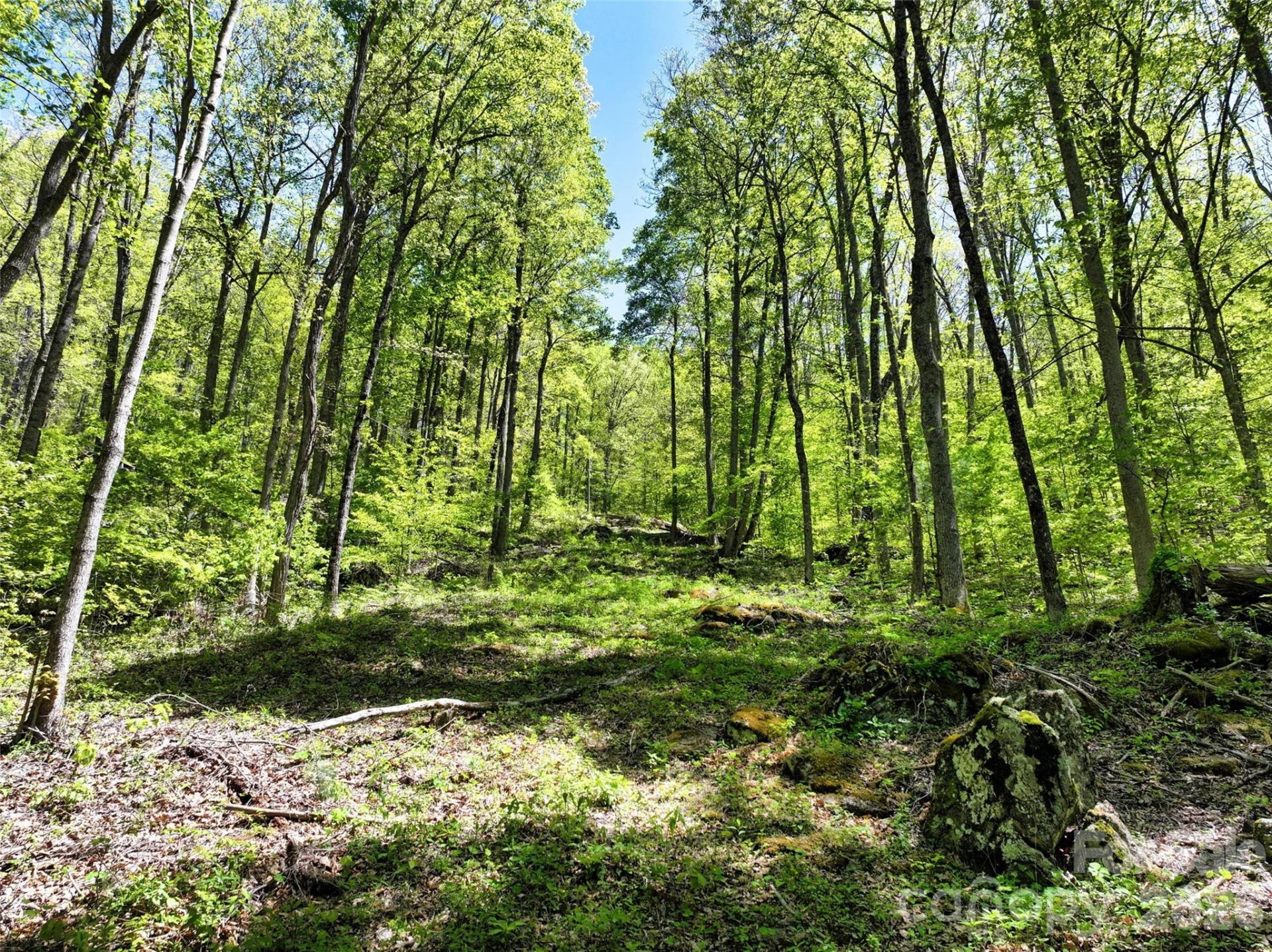 99999 Anderson Cove Road - Photo 24