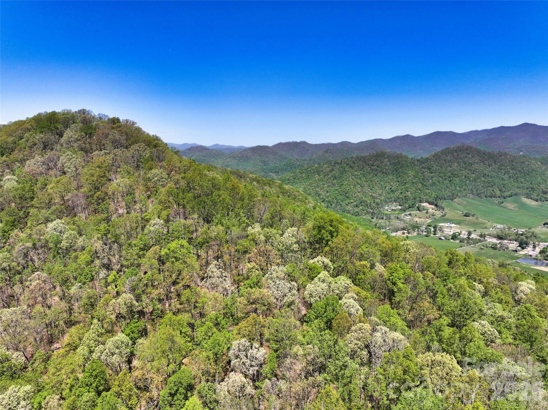 99999 Anderson Cove Road - Photo 27