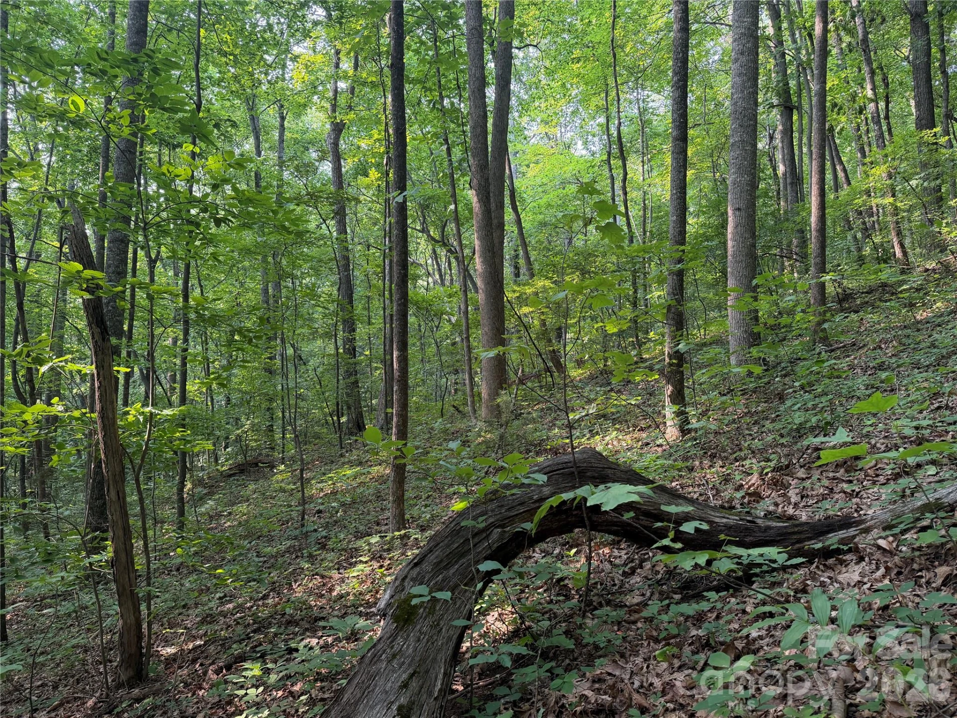 99999 Anderson Cove Road - Photo 30
