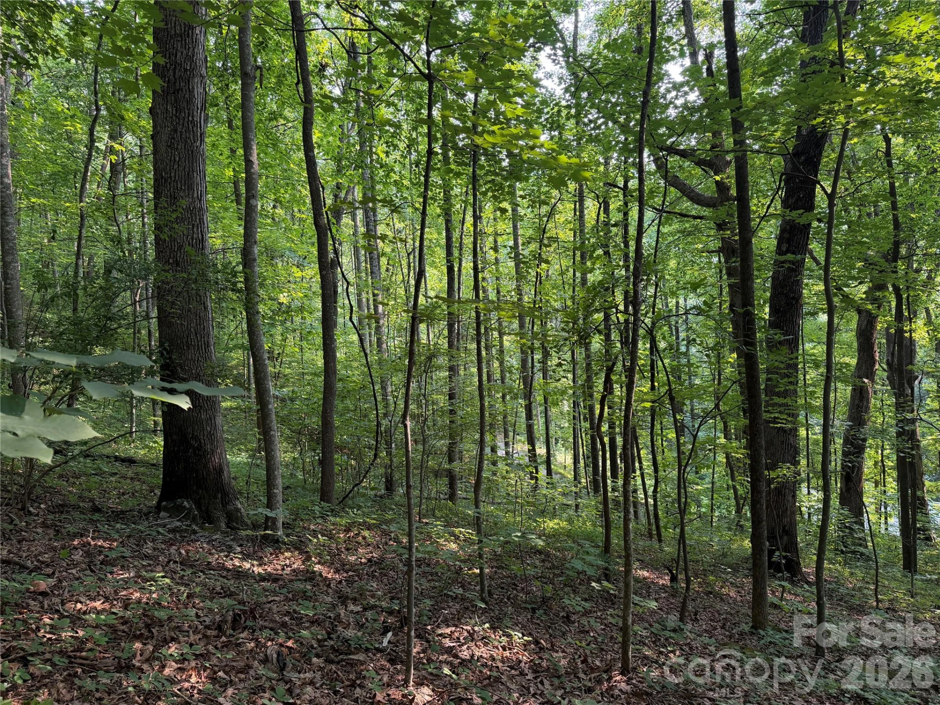 99999 Anderson Cove Road - Photo 31