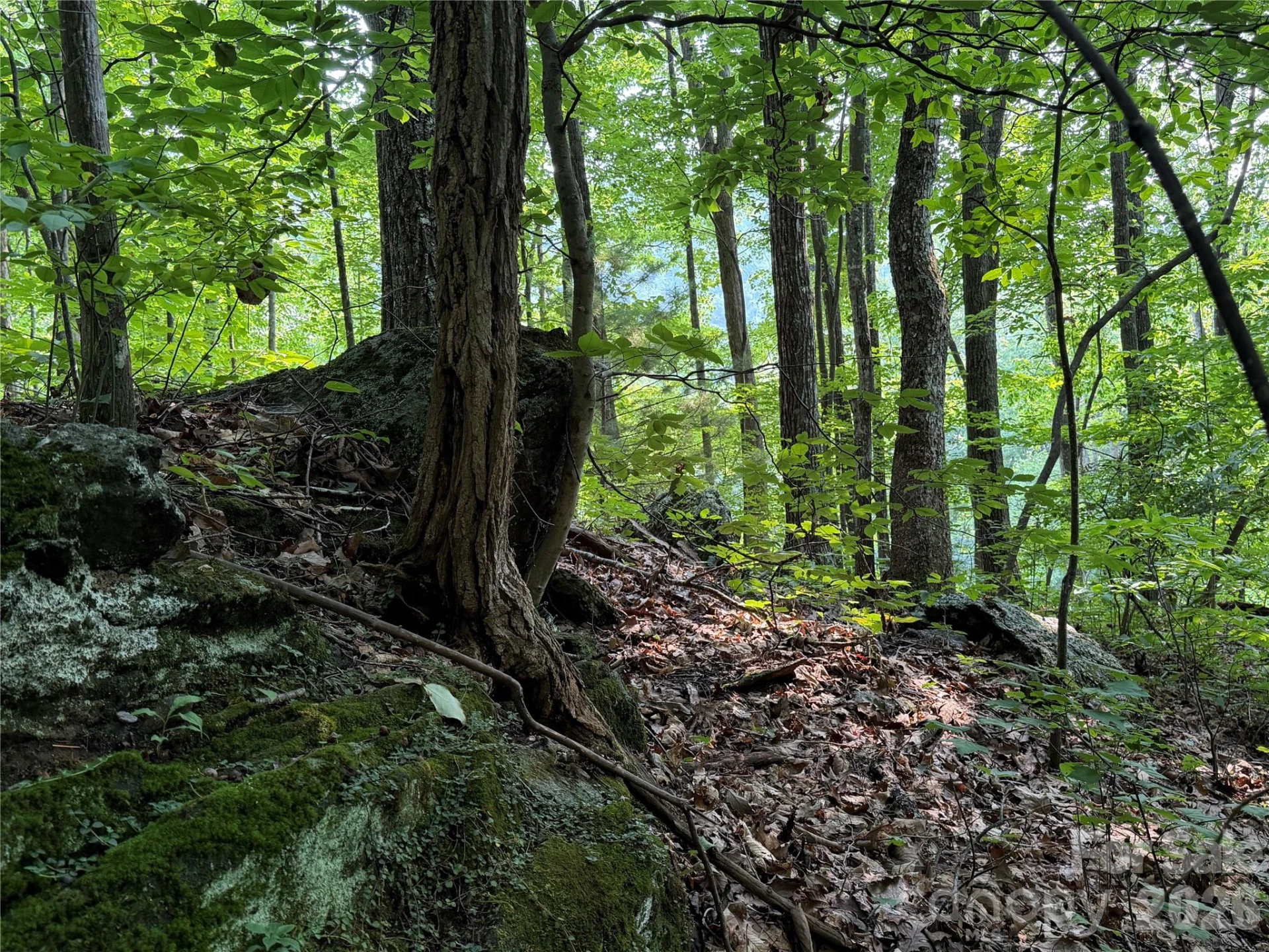 99999 Anderson Cove Road - Photo 35