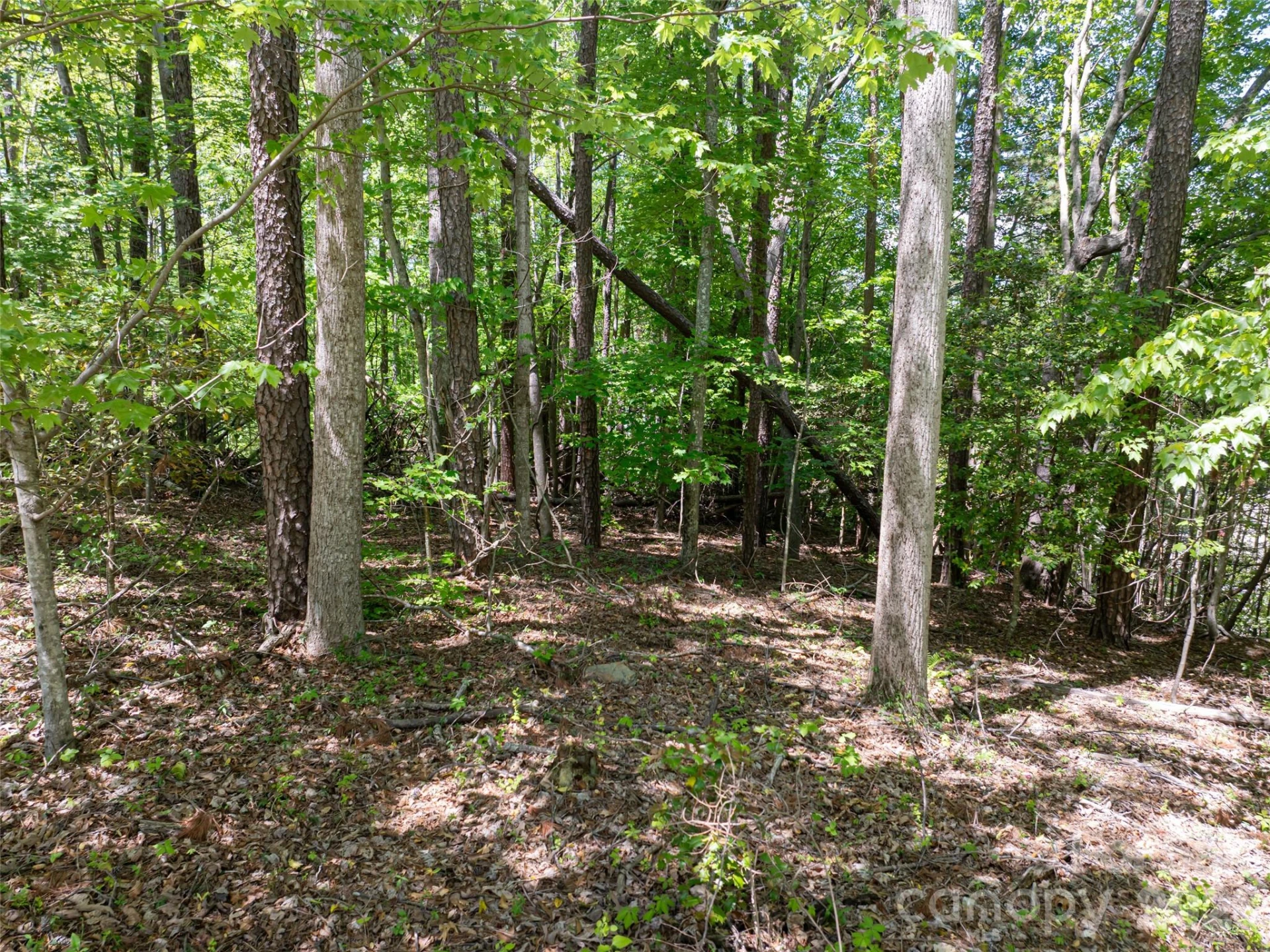99999 Brevard Road - Photo 5