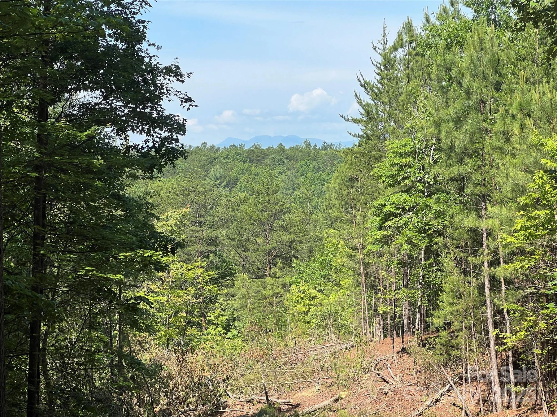 0 South Mountain Drive #16 - Photo 11