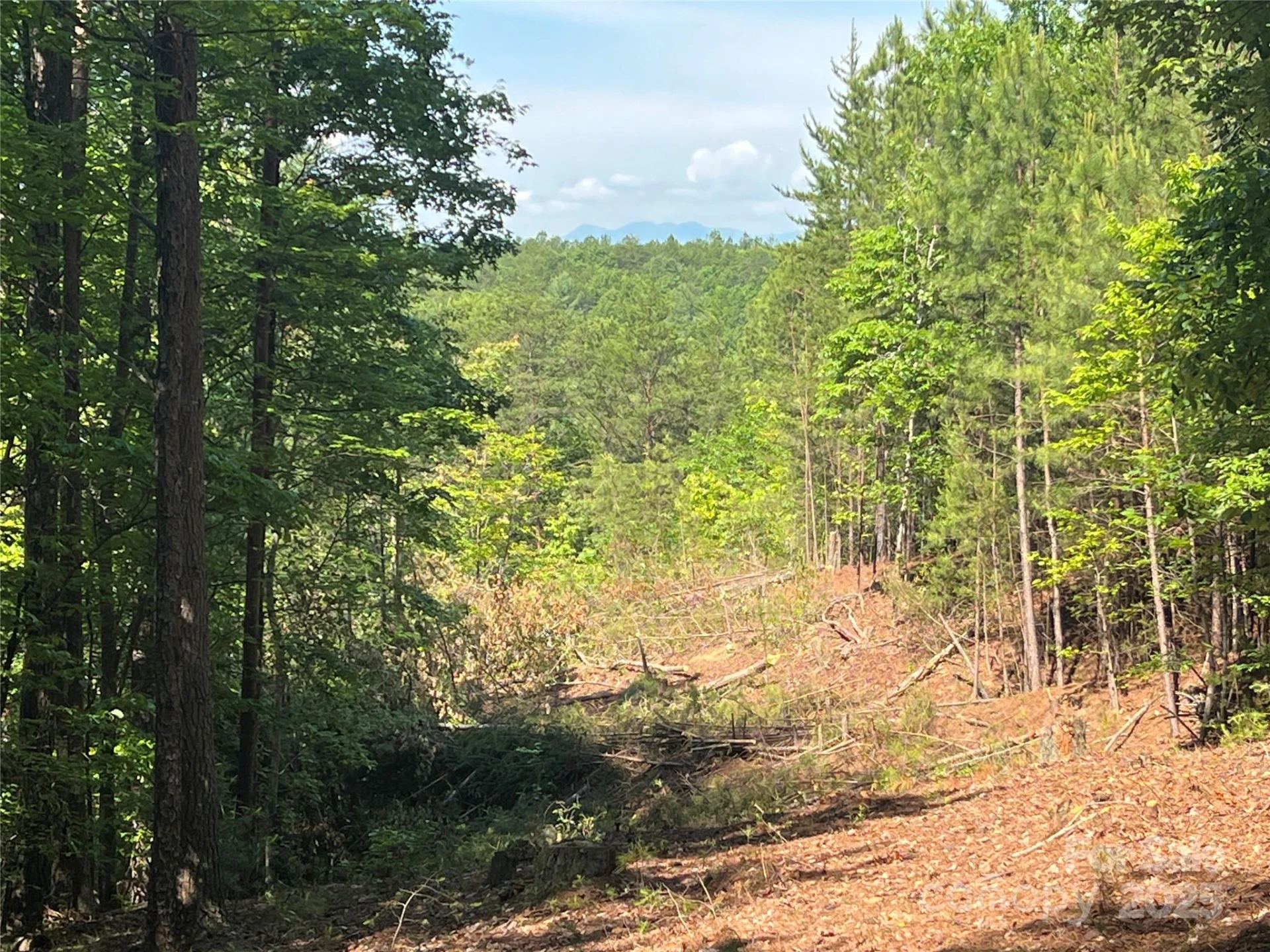 0 South Mountain Drive #16 - Photo 13